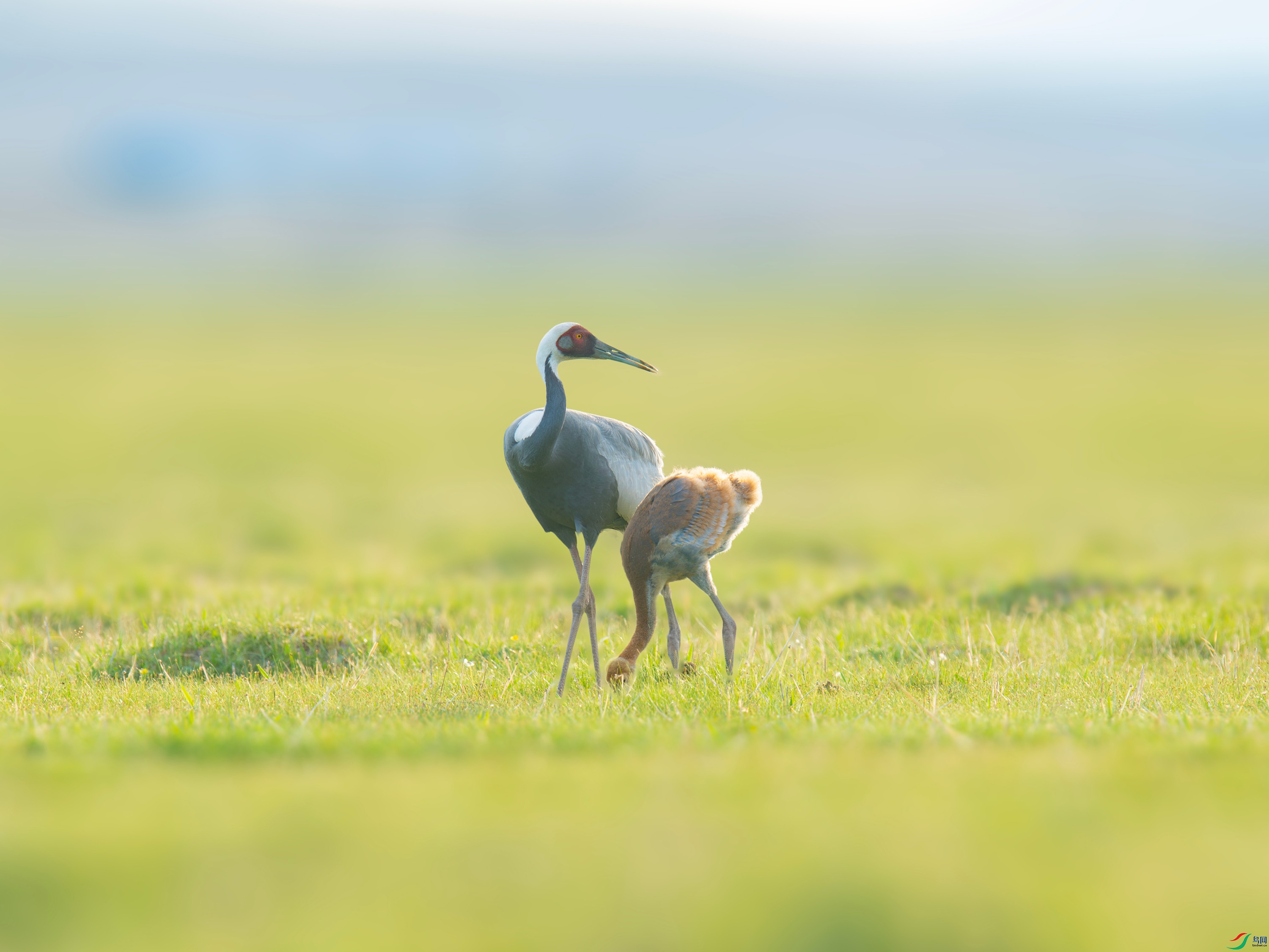 ������  (6).jpg