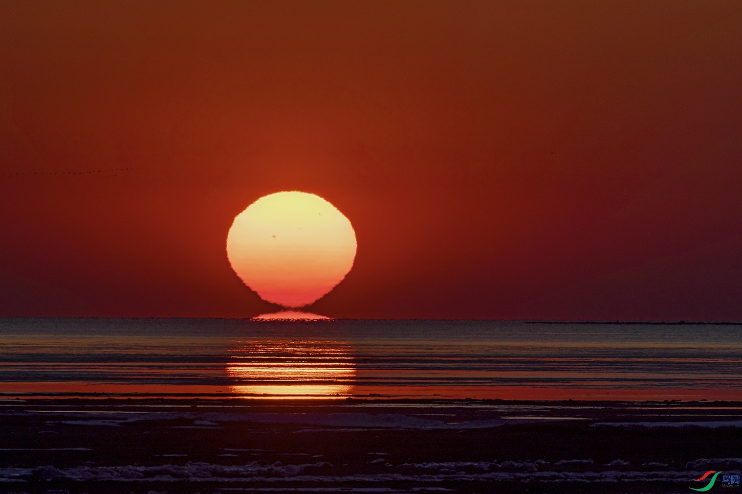 _5LM2613a.jpg