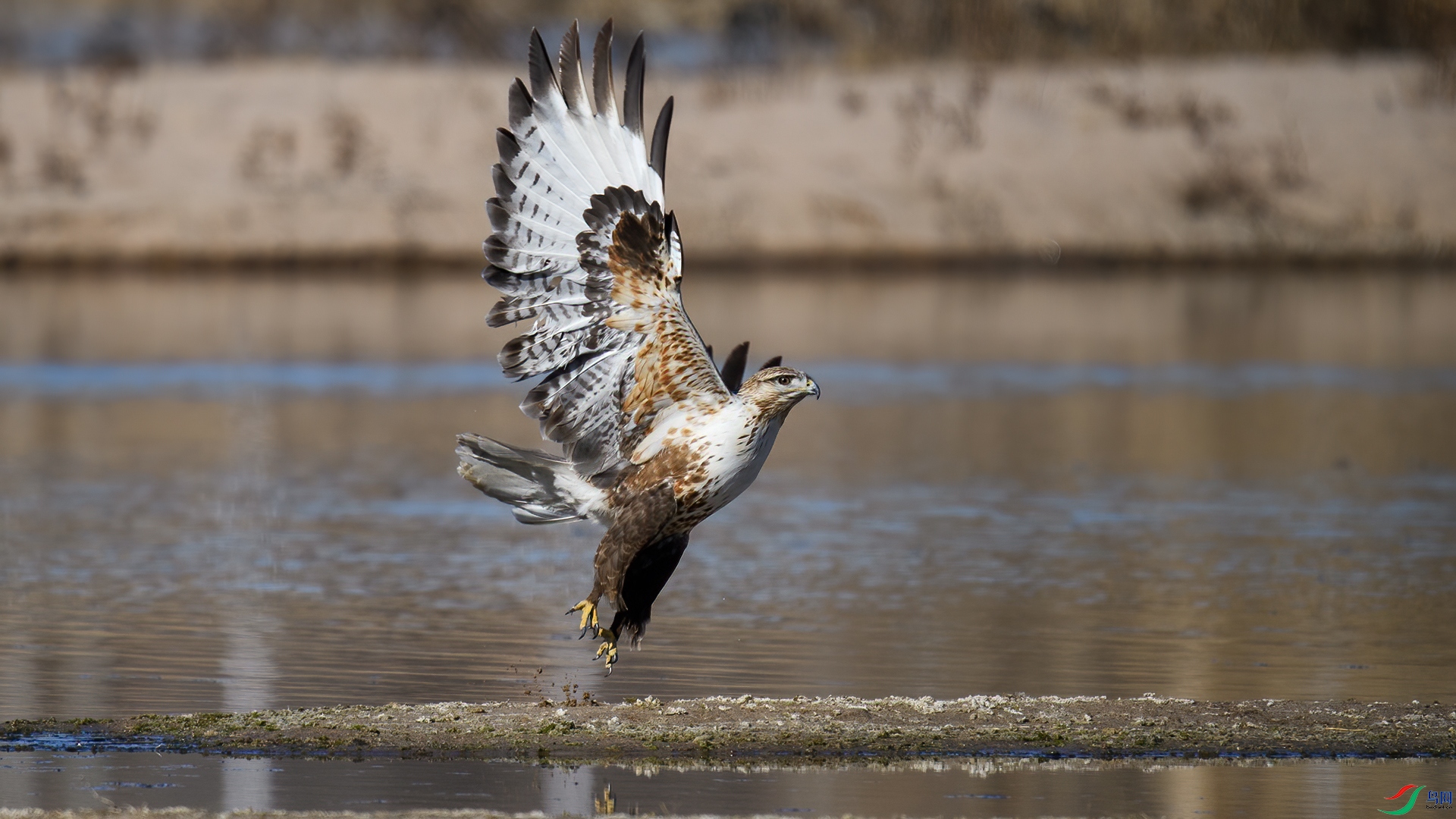 DSC_3221-20250125�� .jpg