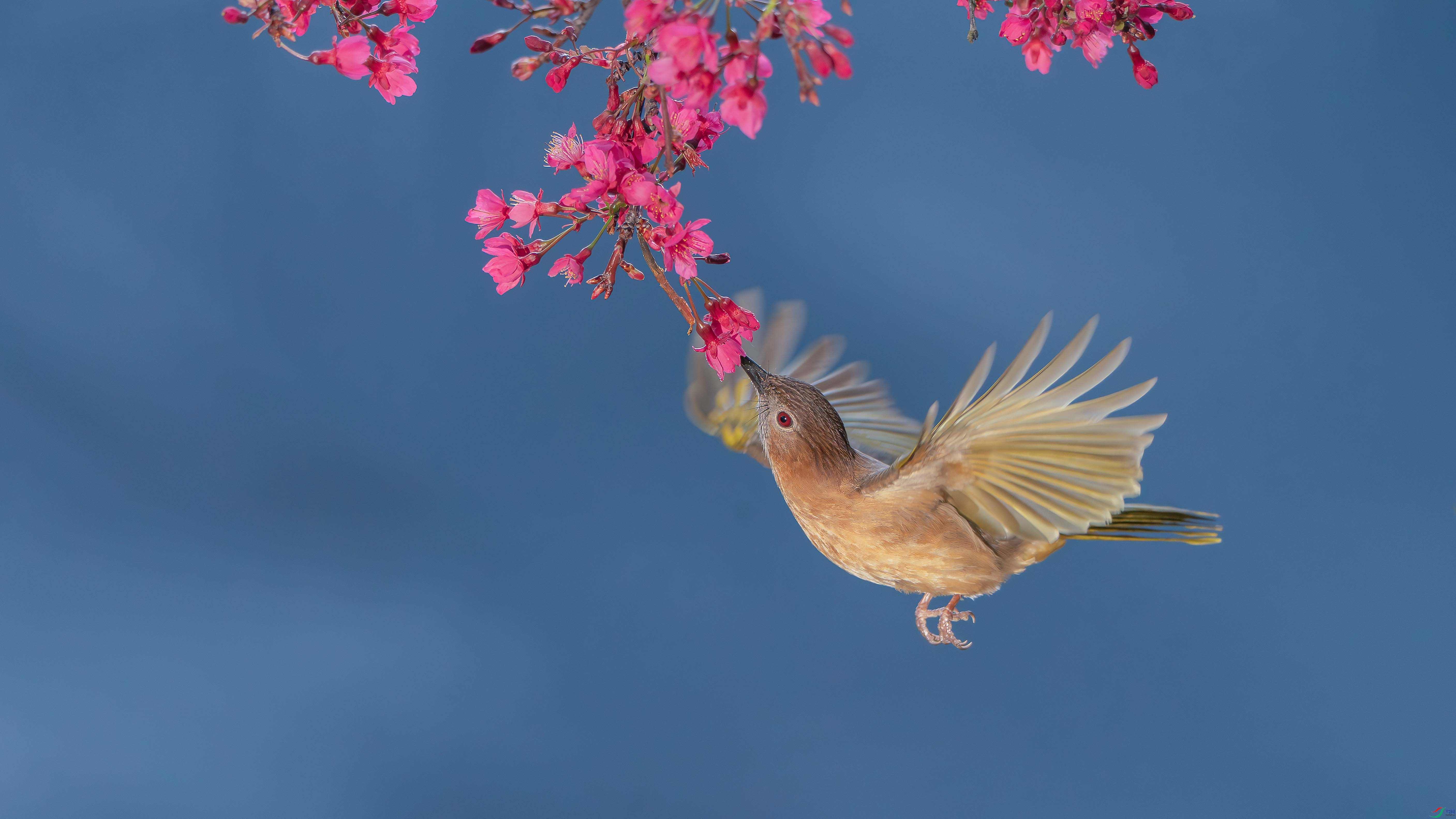 _ZZX0234 ���� 2.jpg