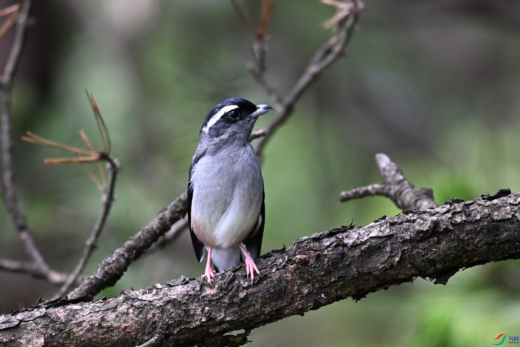 DSC_1361.JPG