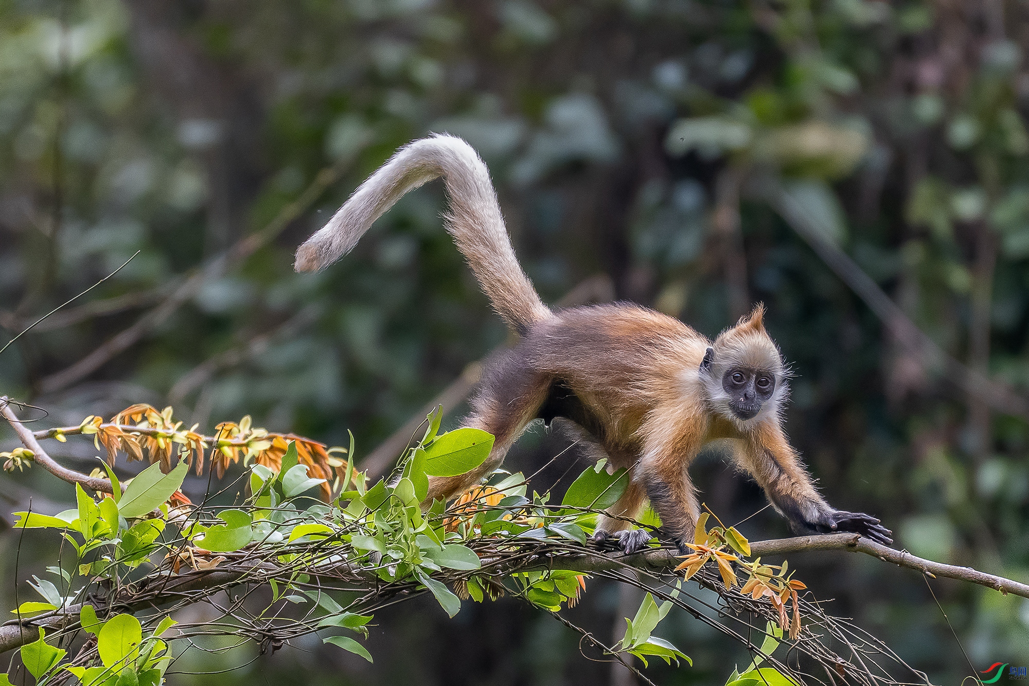 DSC_1069 ����1.jpg