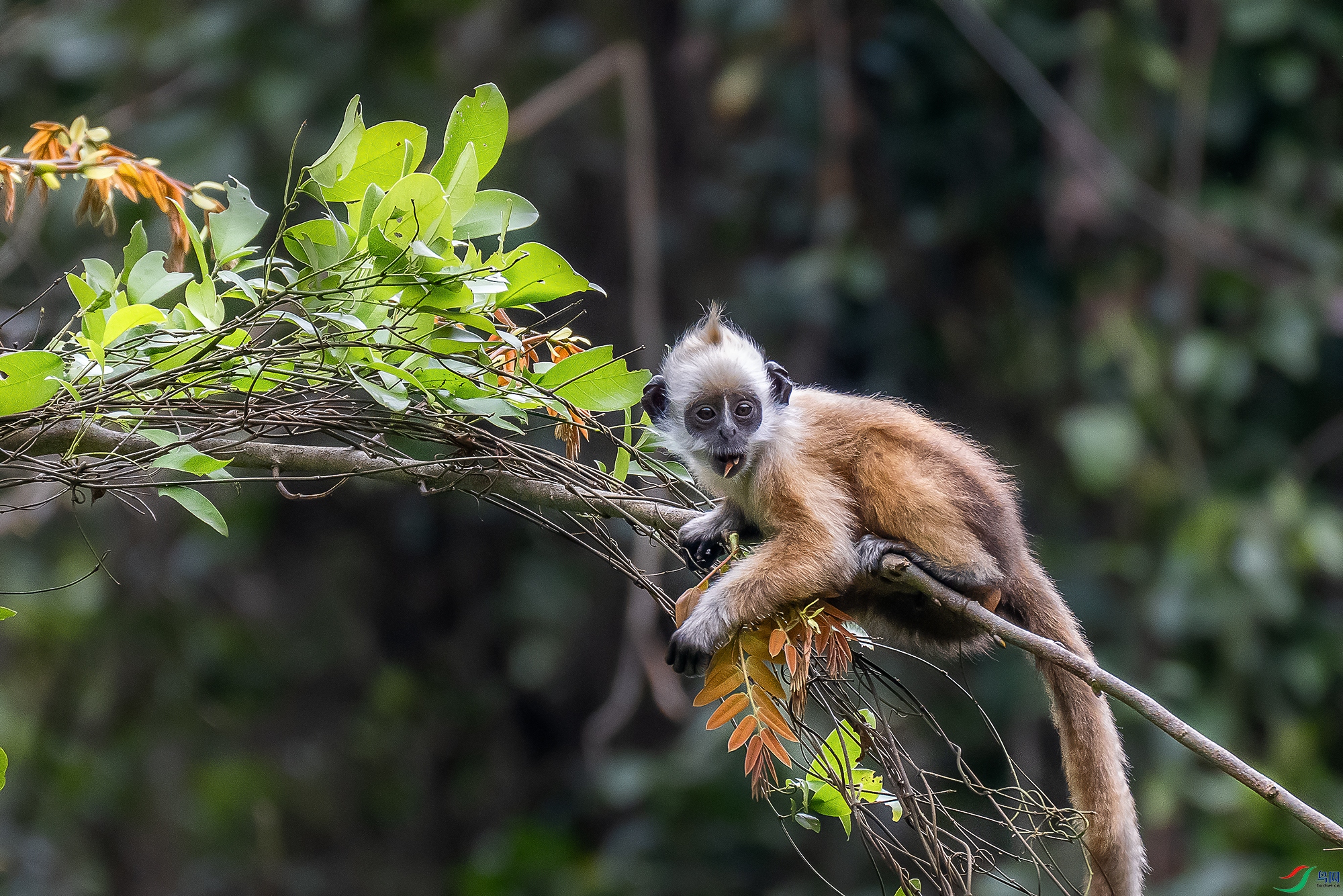 DSC_1056 ����1.jpg