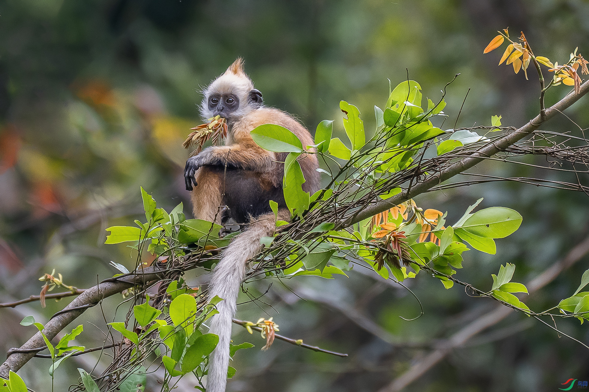 DSC_1202 ����1.jpg