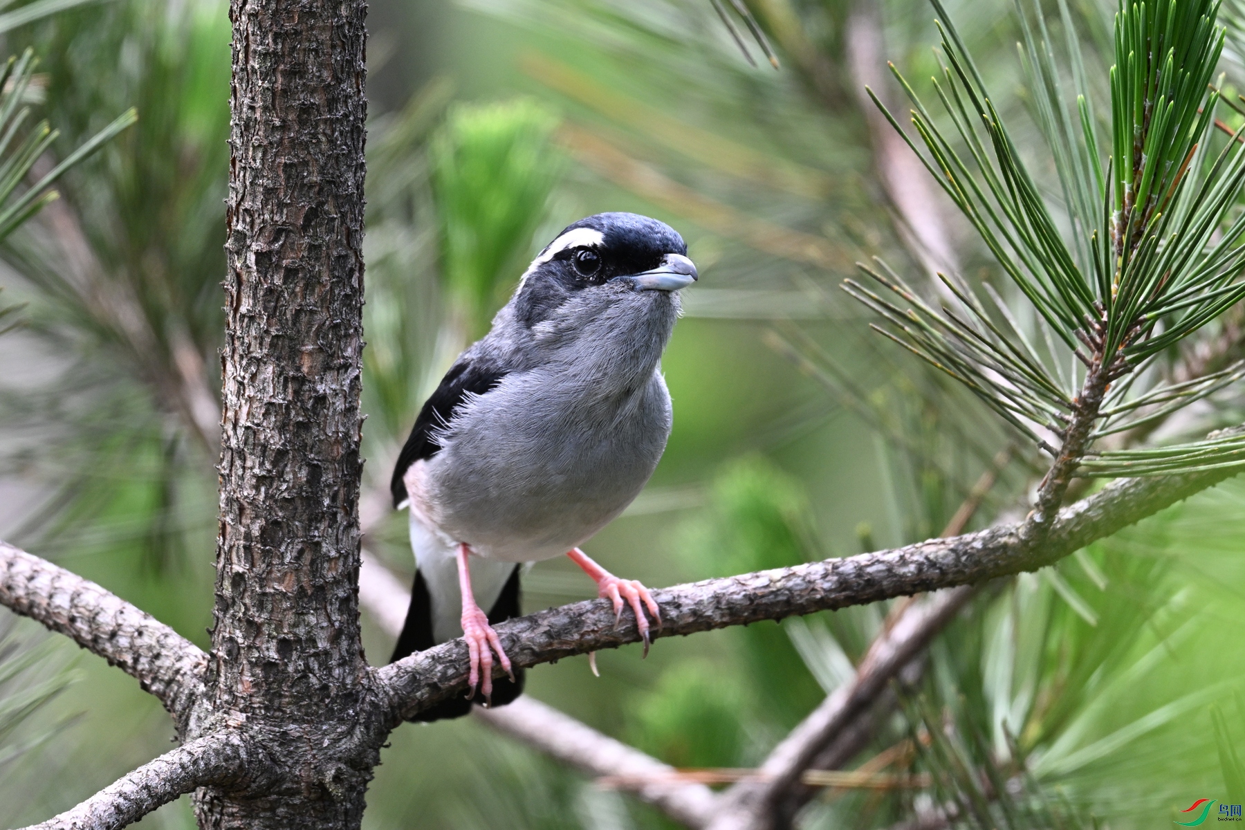 DSC_1298.JPG