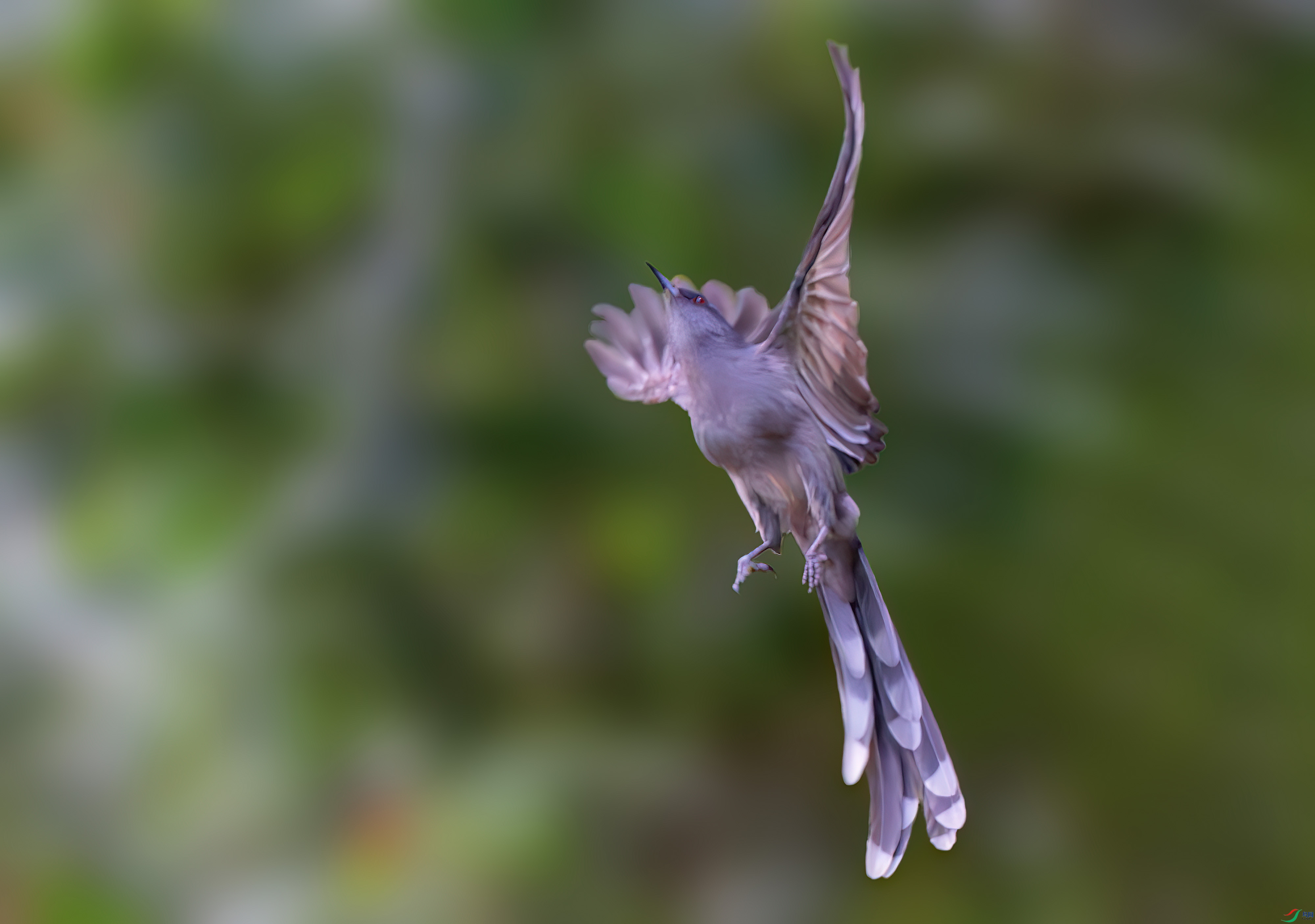DSC_6277.jpg
