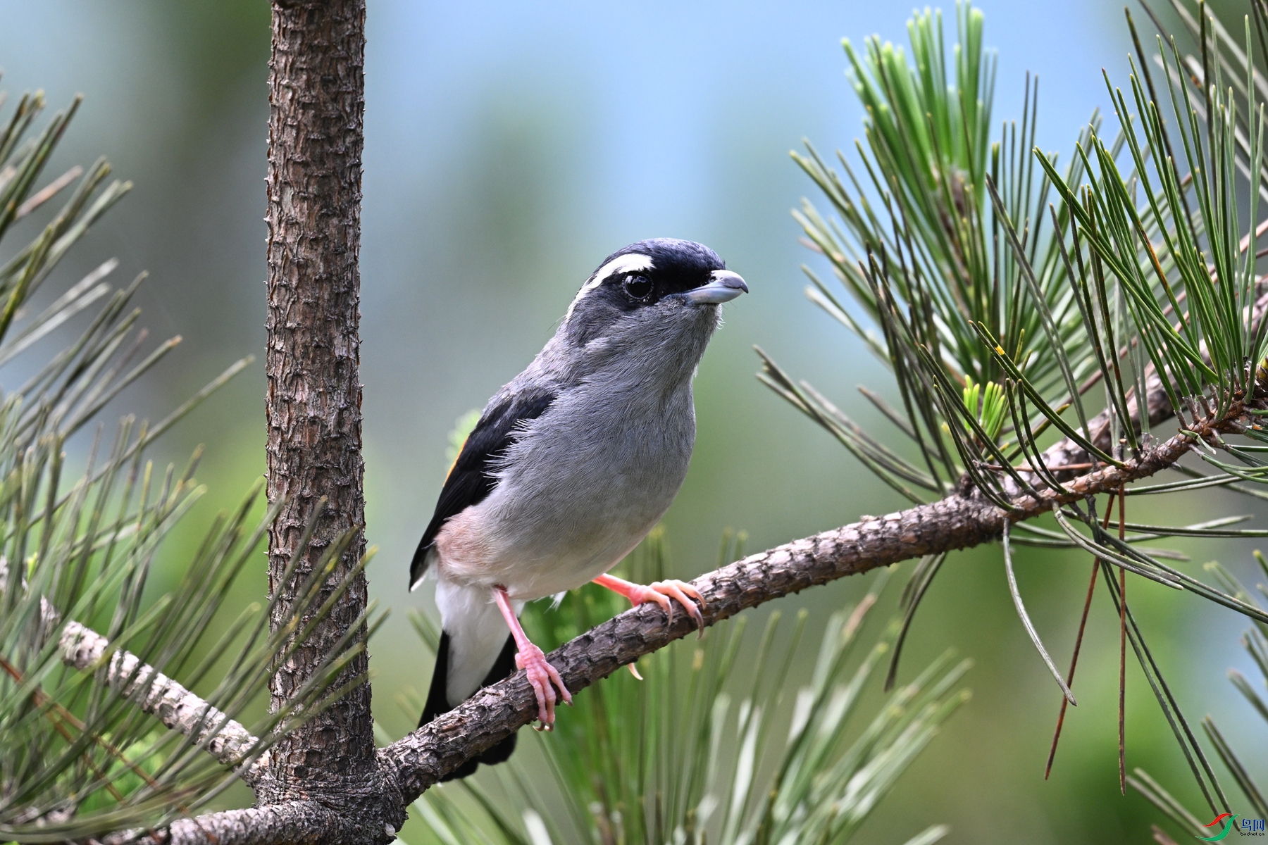 DSC_1334.JPG