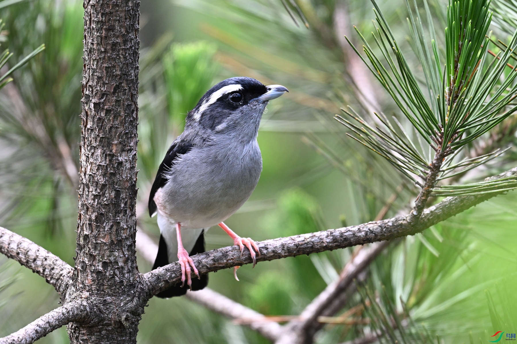 DSC_1300.JPG