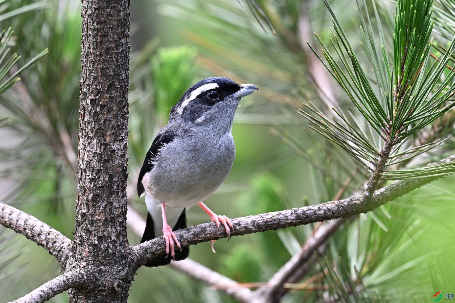 DSC_1303.JPG