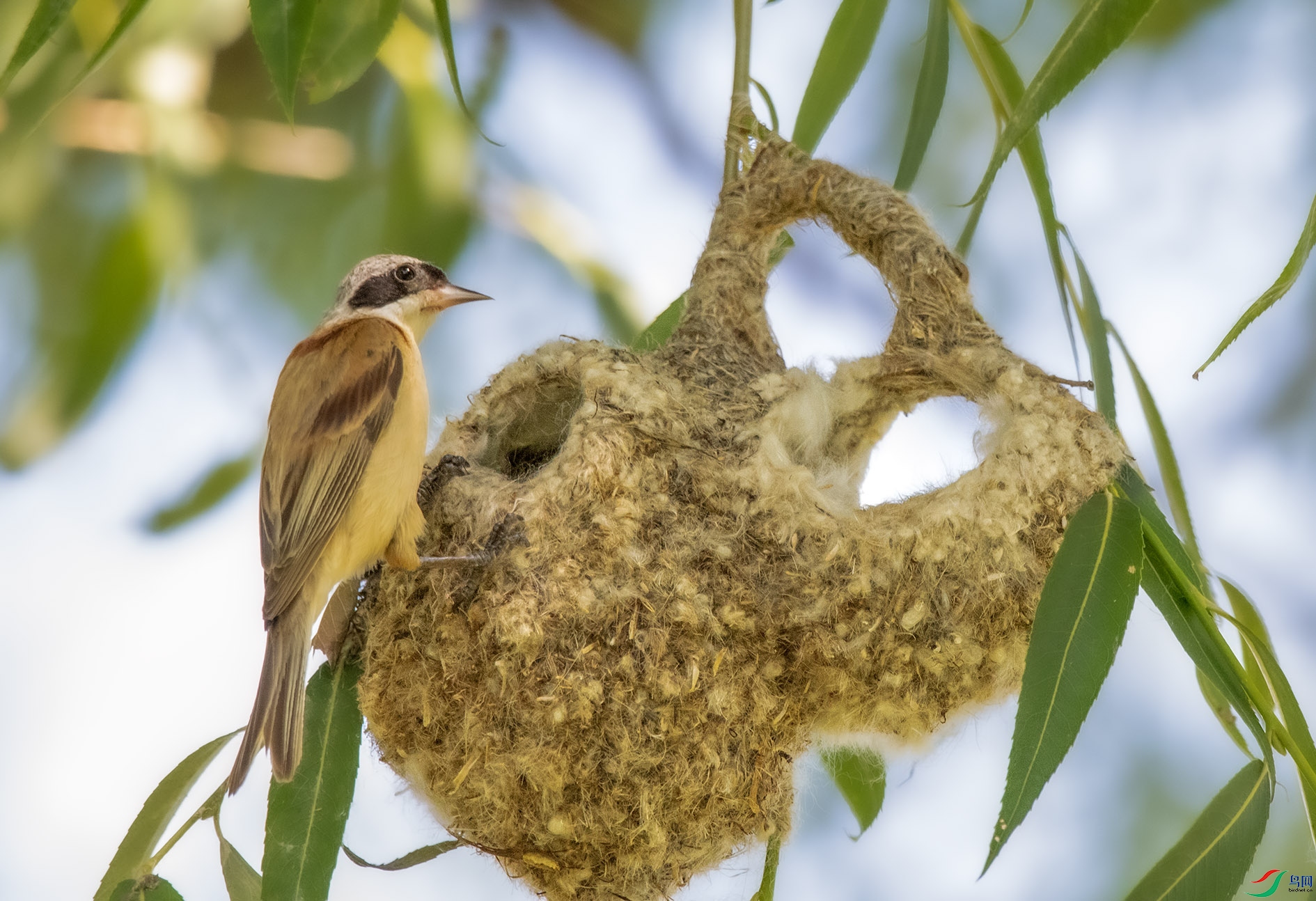 DSC_3348_��ͼ�� ����.jpg