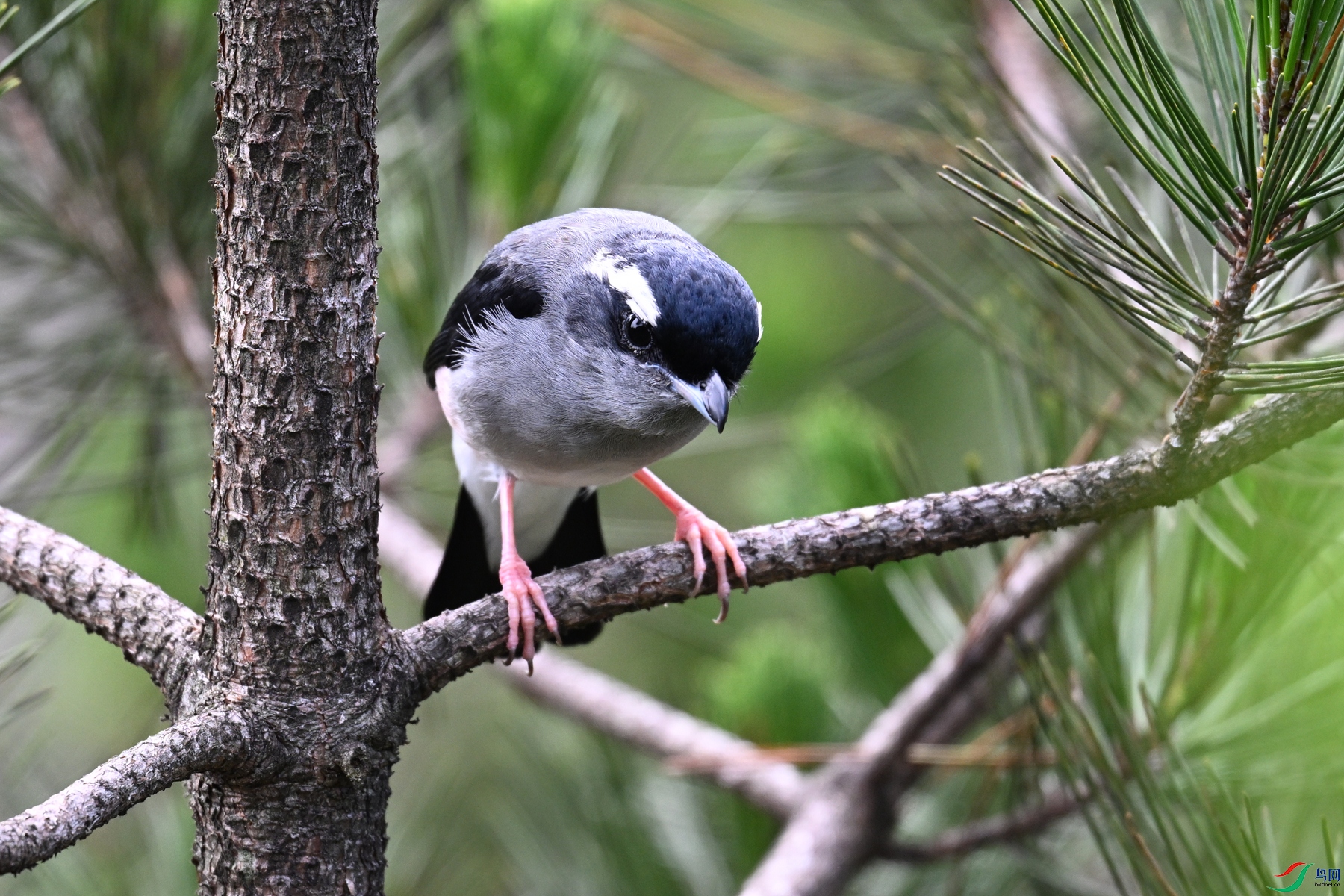 DSC_1308.JPG