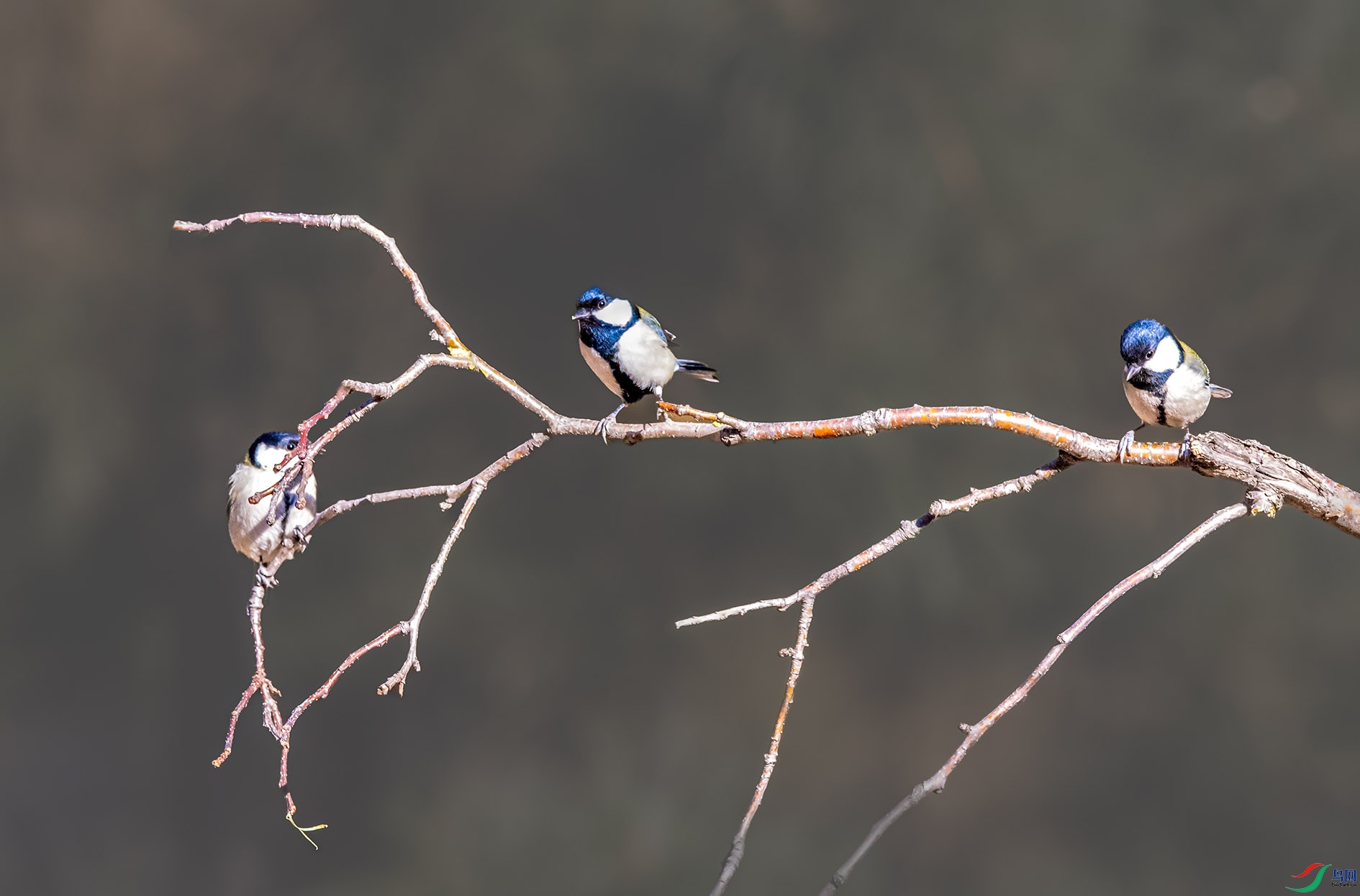 DSC_0518_��ͼ�� ����.jpg