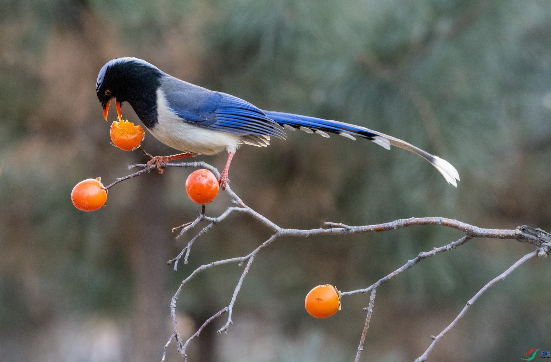 DSC_0035_��ͼ�� ����.jpg