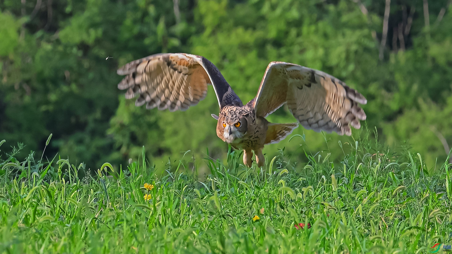 DSC_0521 ����.jpg