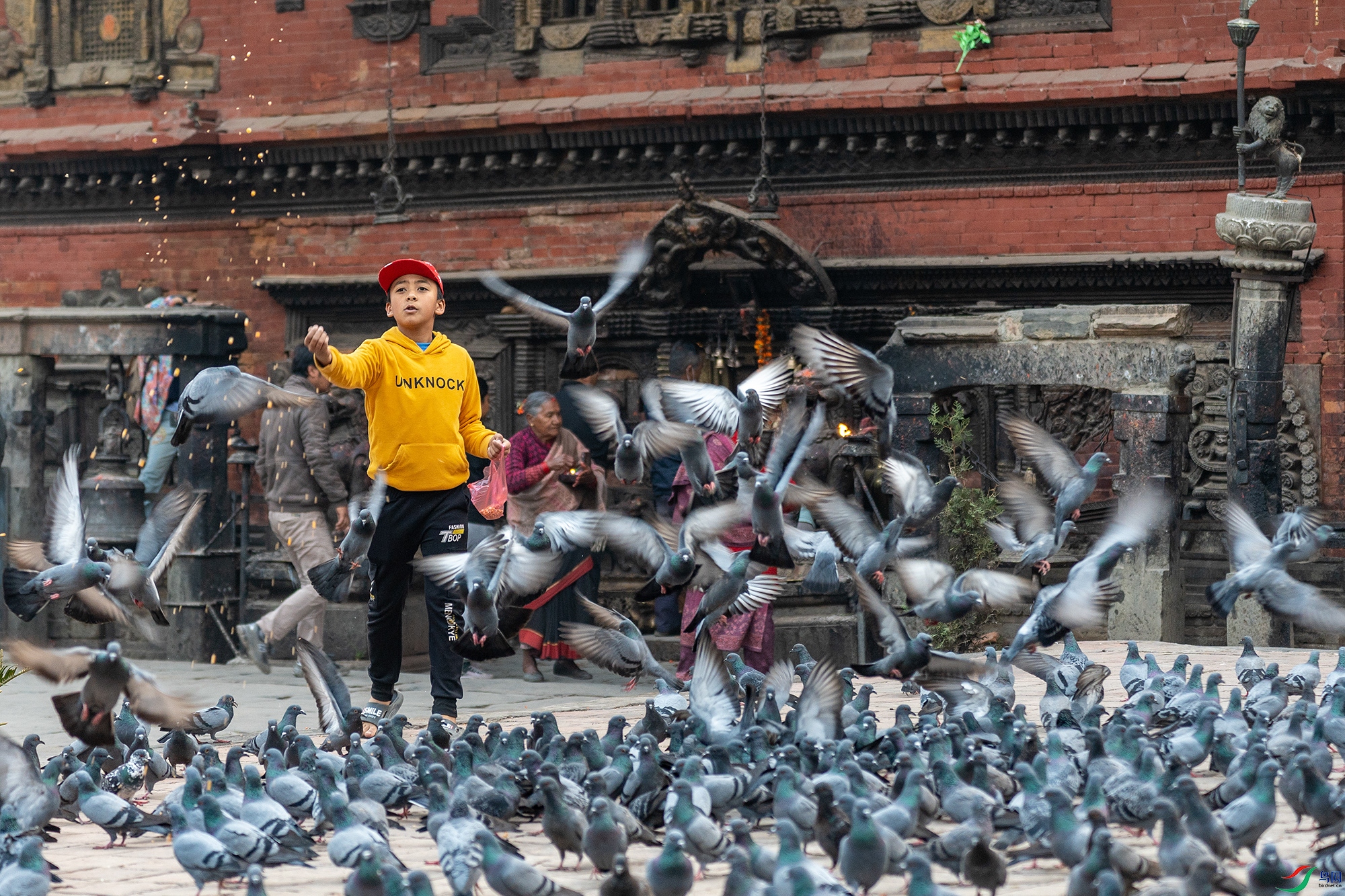 DSC05922 ����.jpg