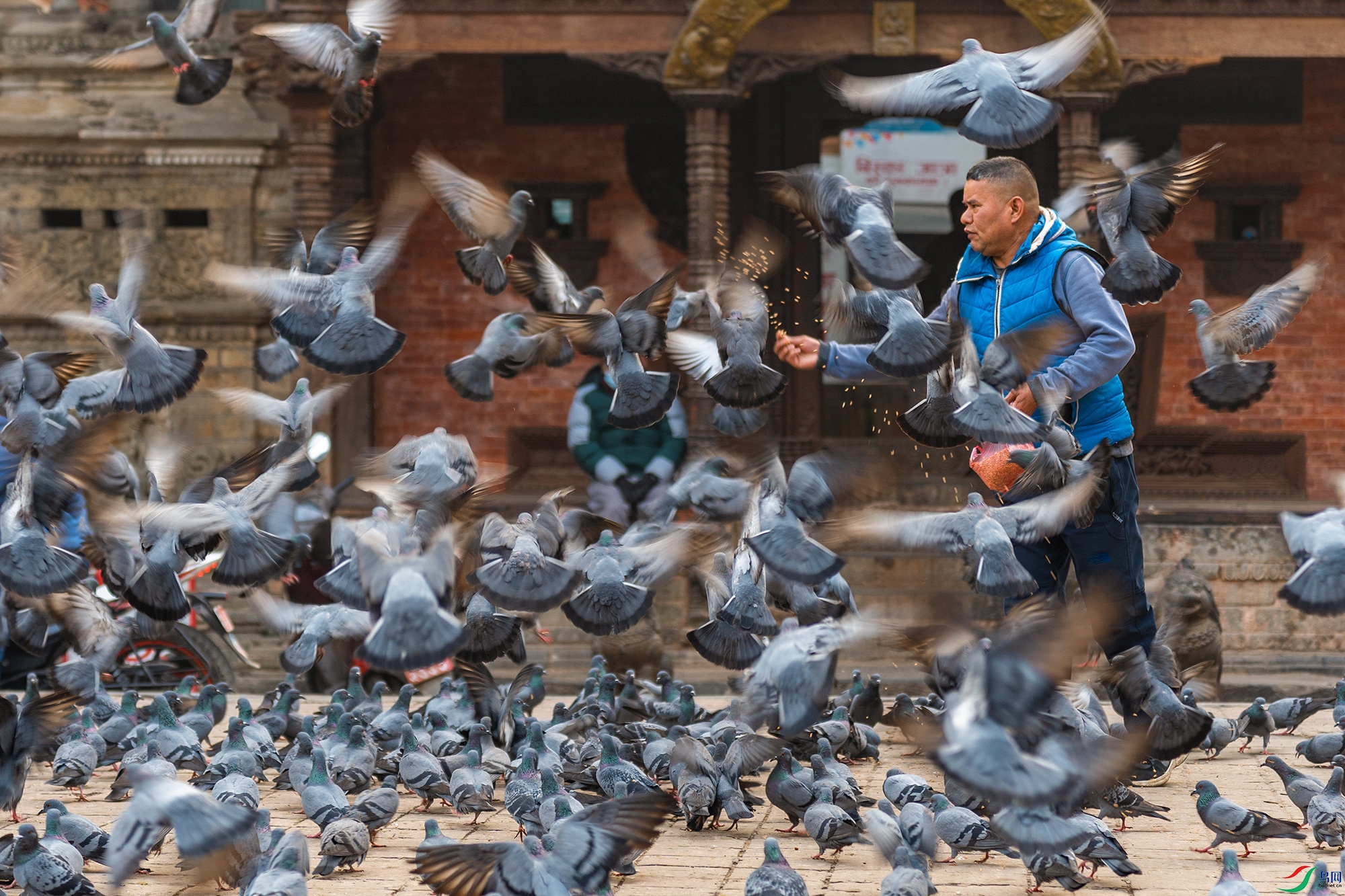 DSC06556 ����a.jpg