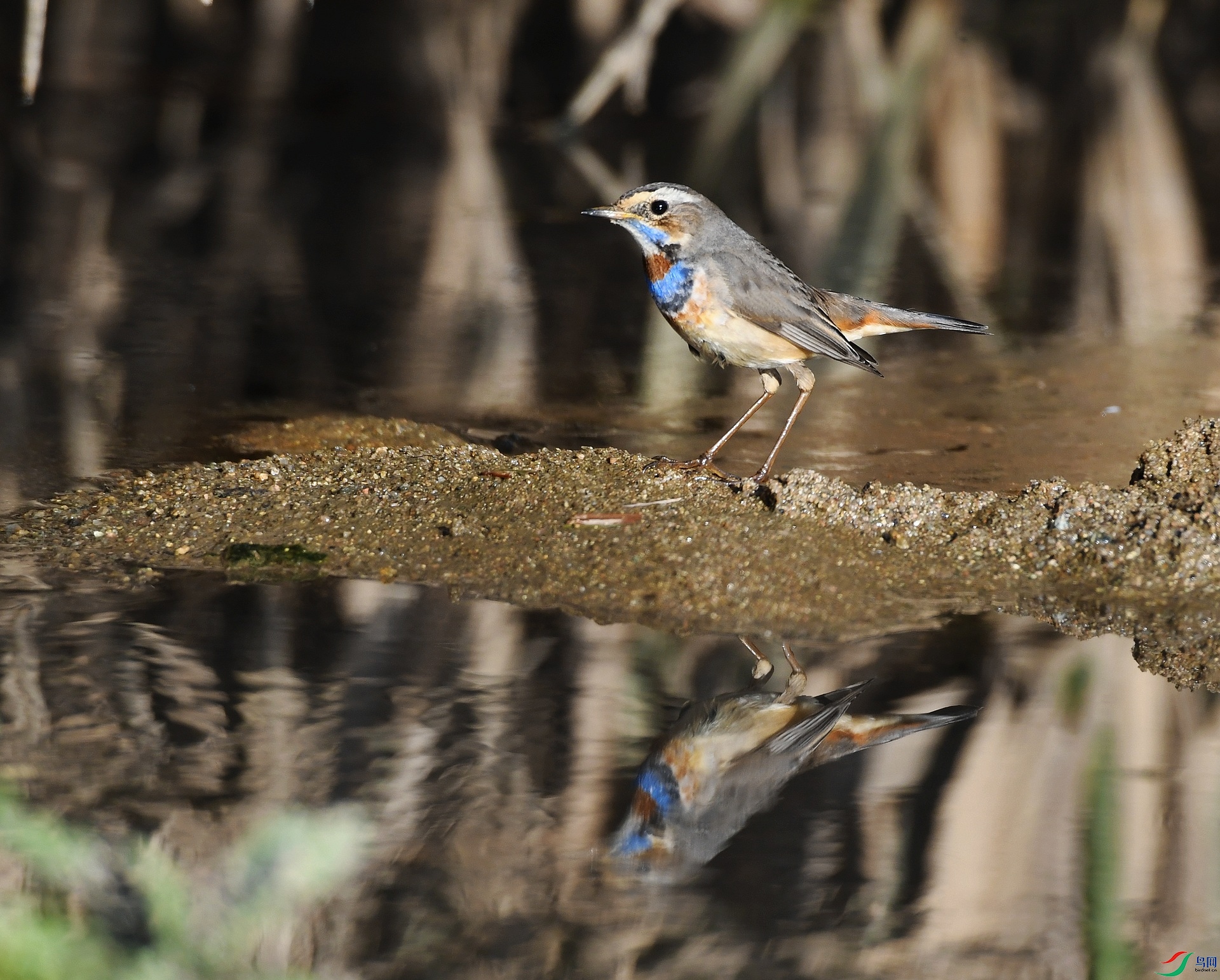 DSC_5231.jpg