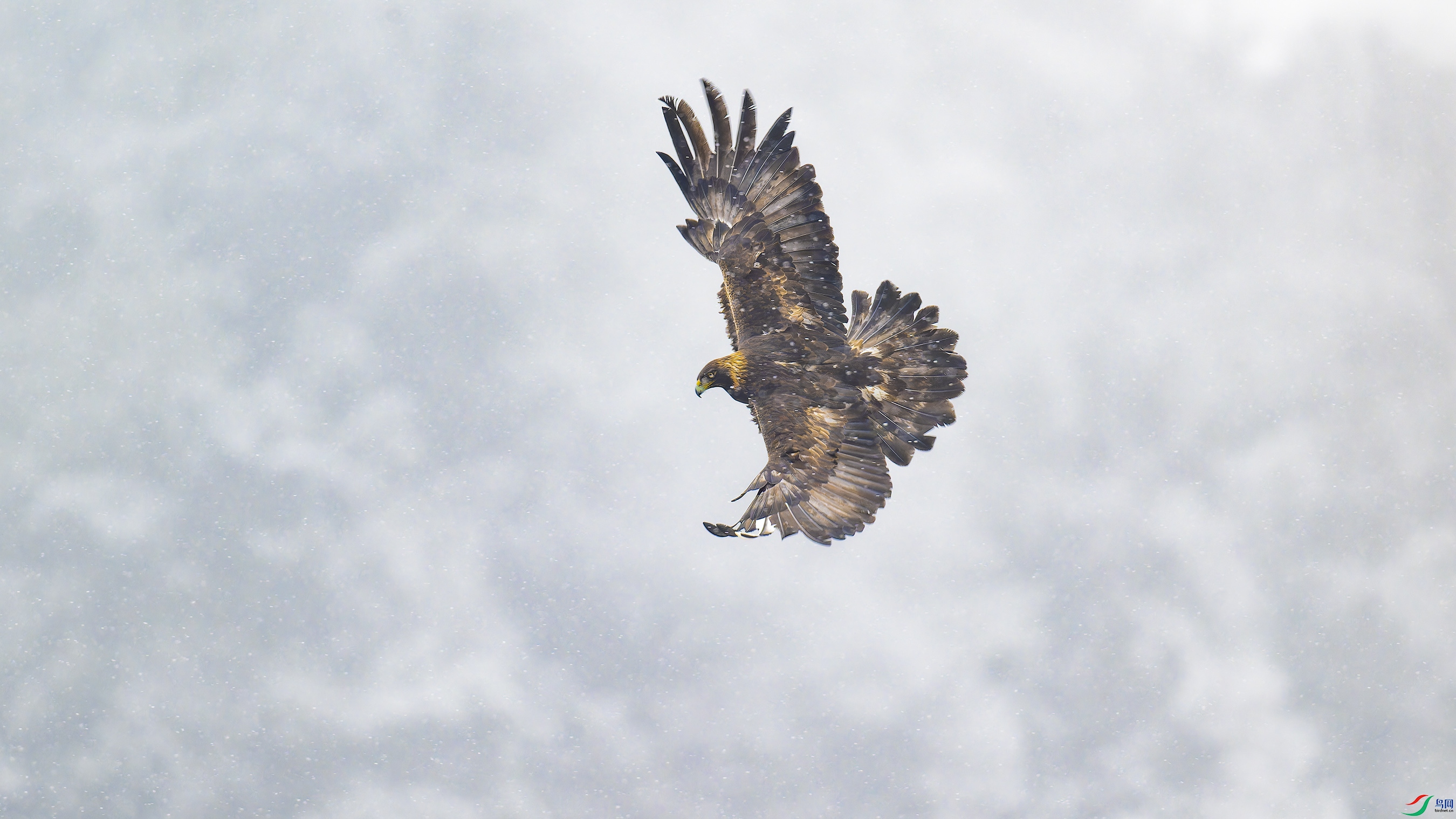 DSC_5774_DxO.jpg