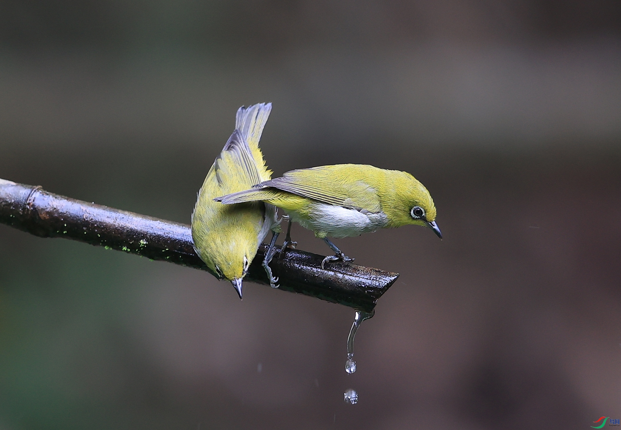 AK1I8210�� ��1.JPG