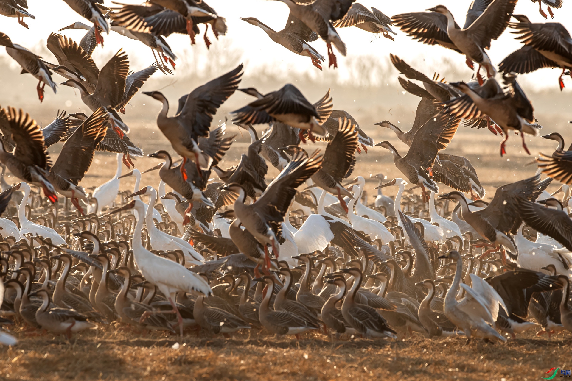 B86I8993 _����.jpg