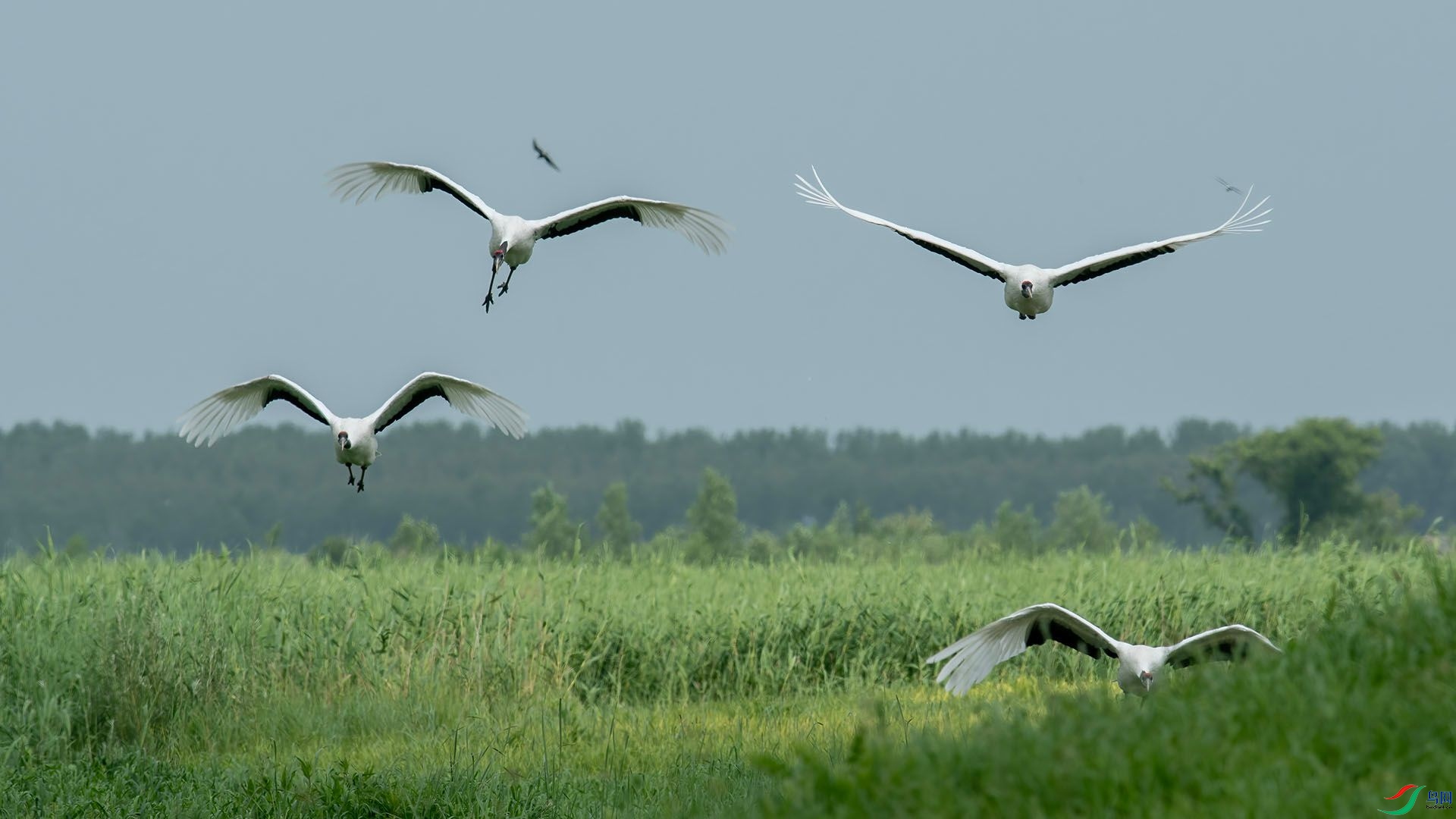 _DSC0475 ����.jpg