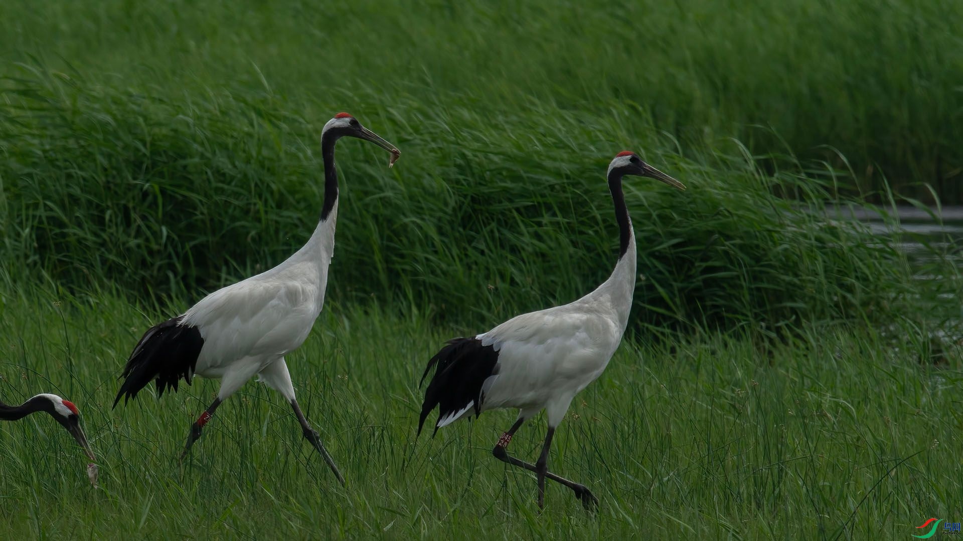 _DSC0661 ����.jpg