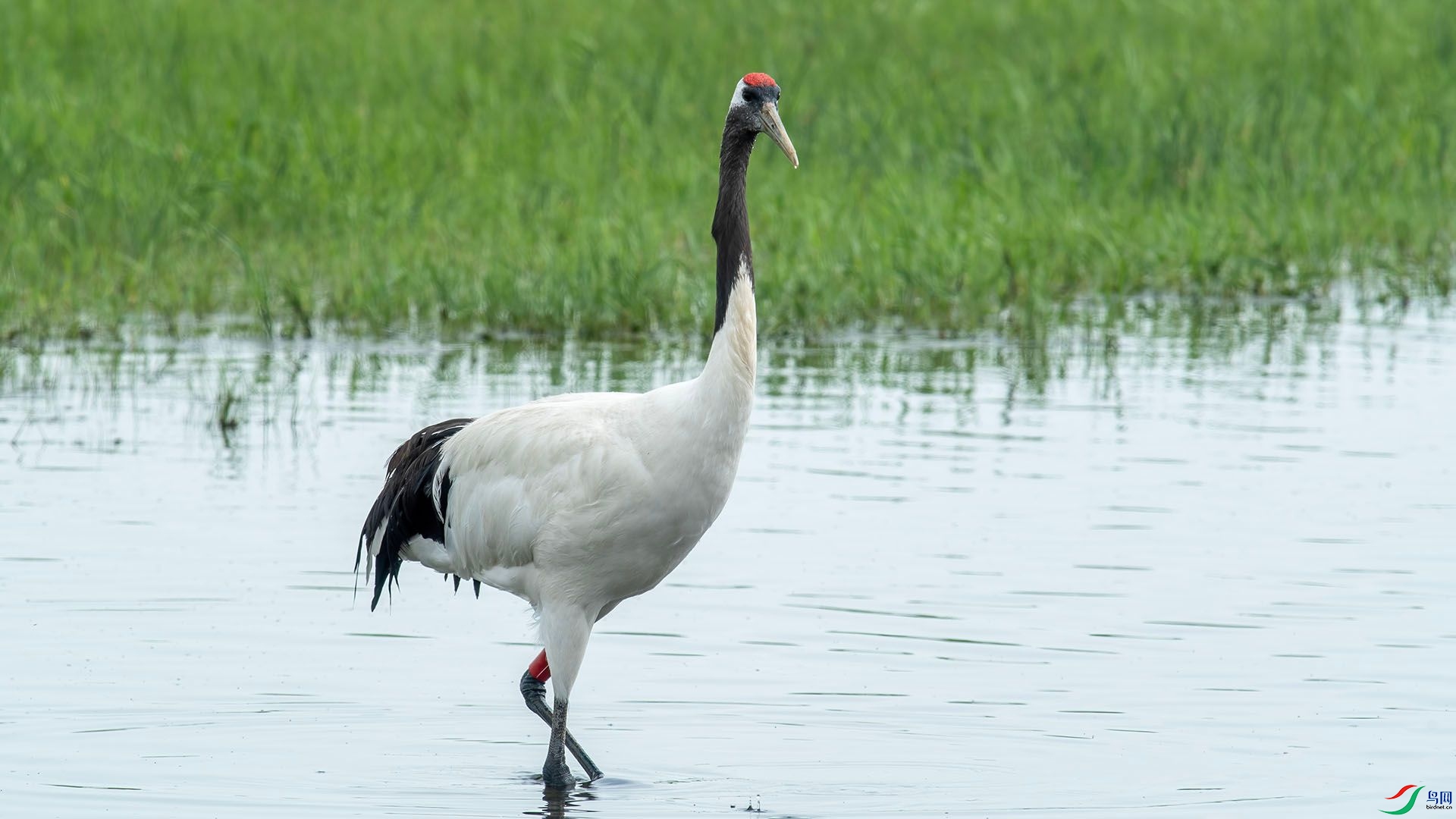 _DSC1122 ����.jpg