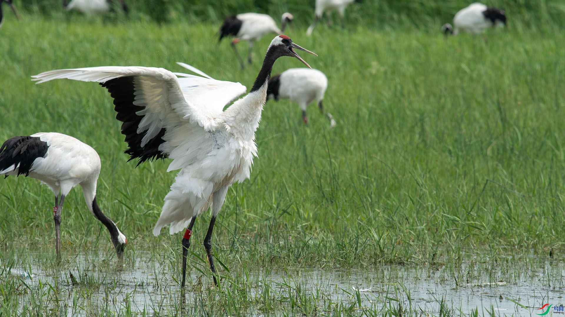 _DSC2331 ����.jpg