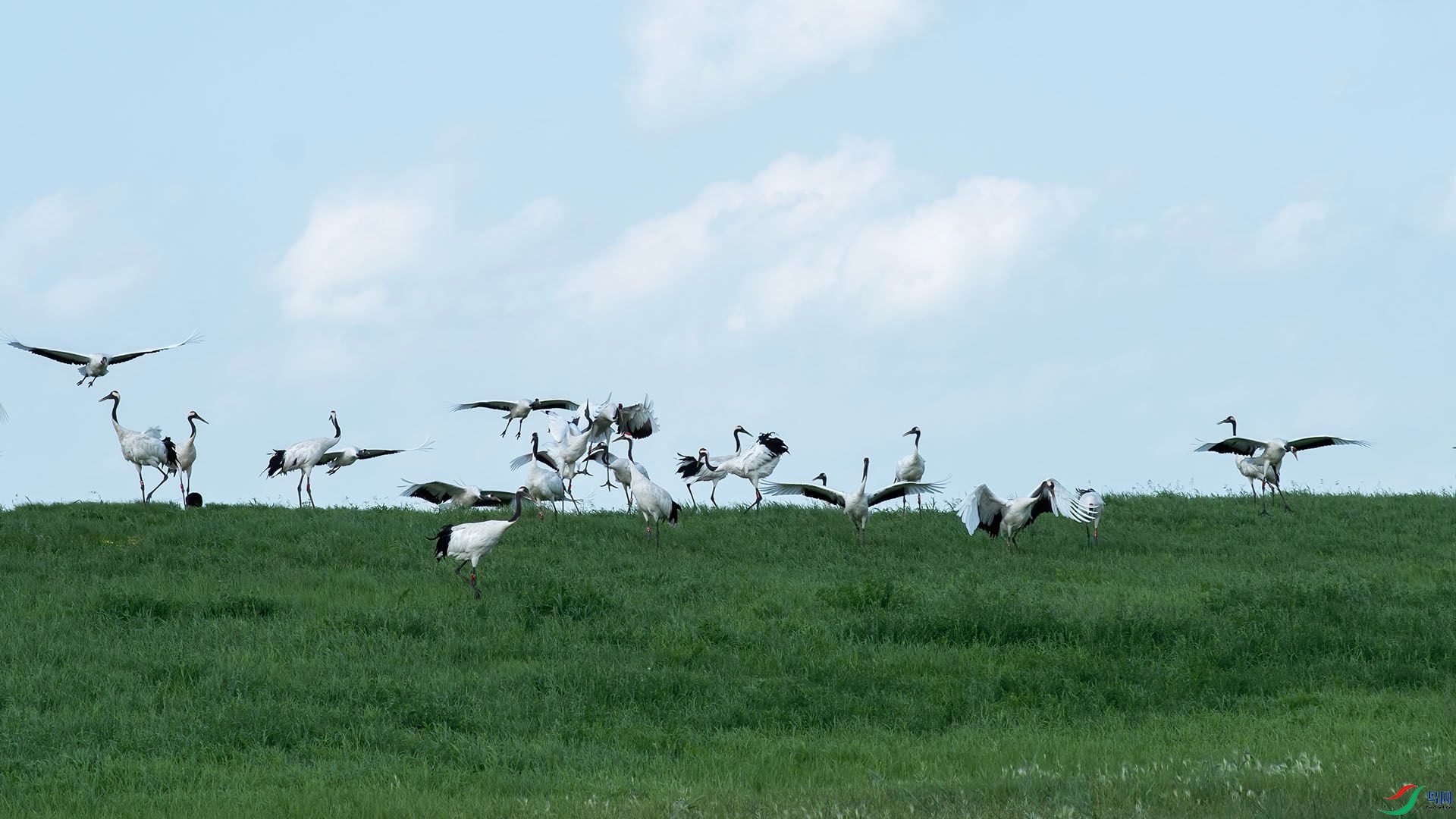 _DSC4676 ����.jpg