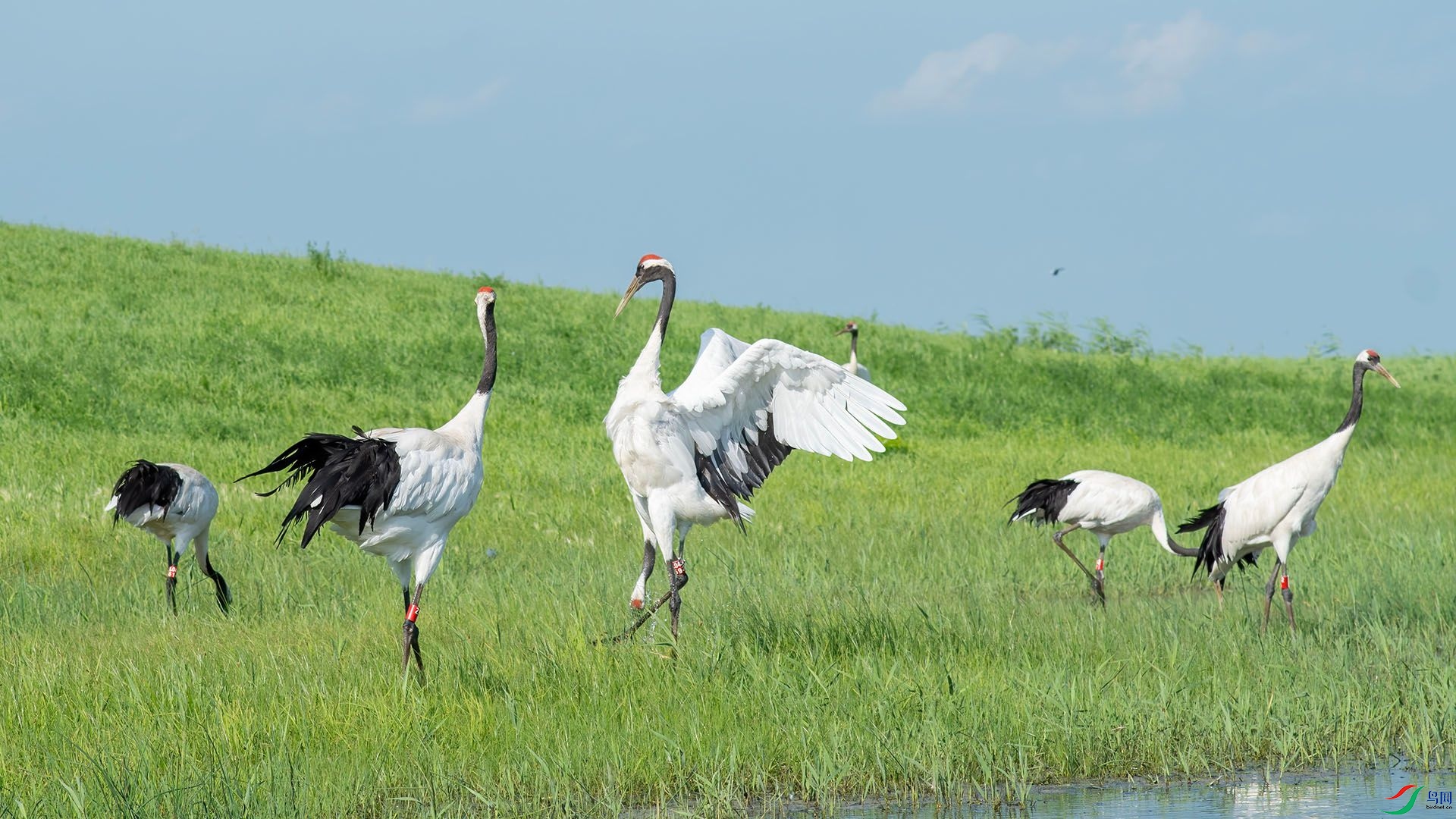 _DSC6535 ����.jpg