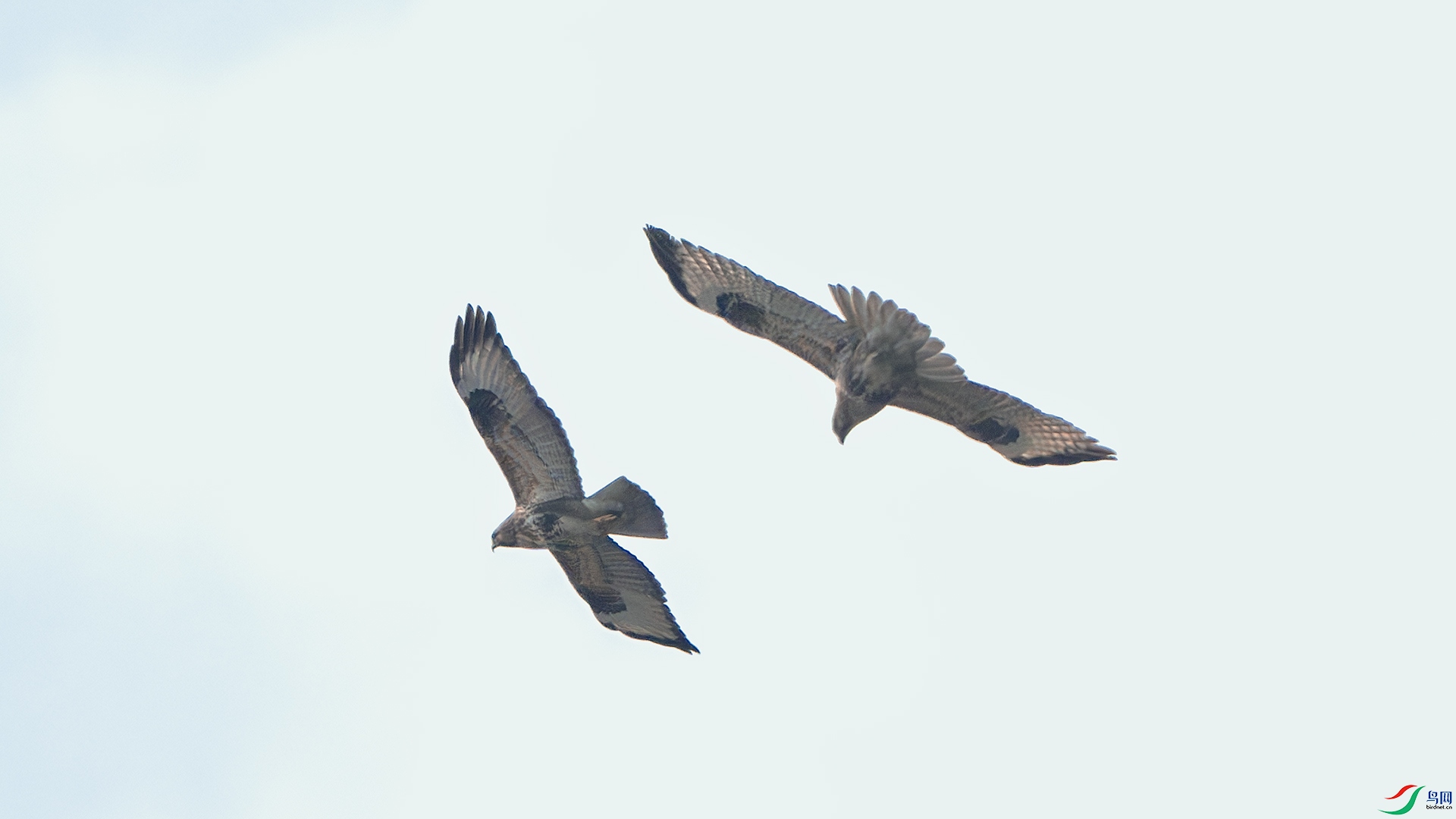 DSC_8617-����ǿ-NR ����.jpg