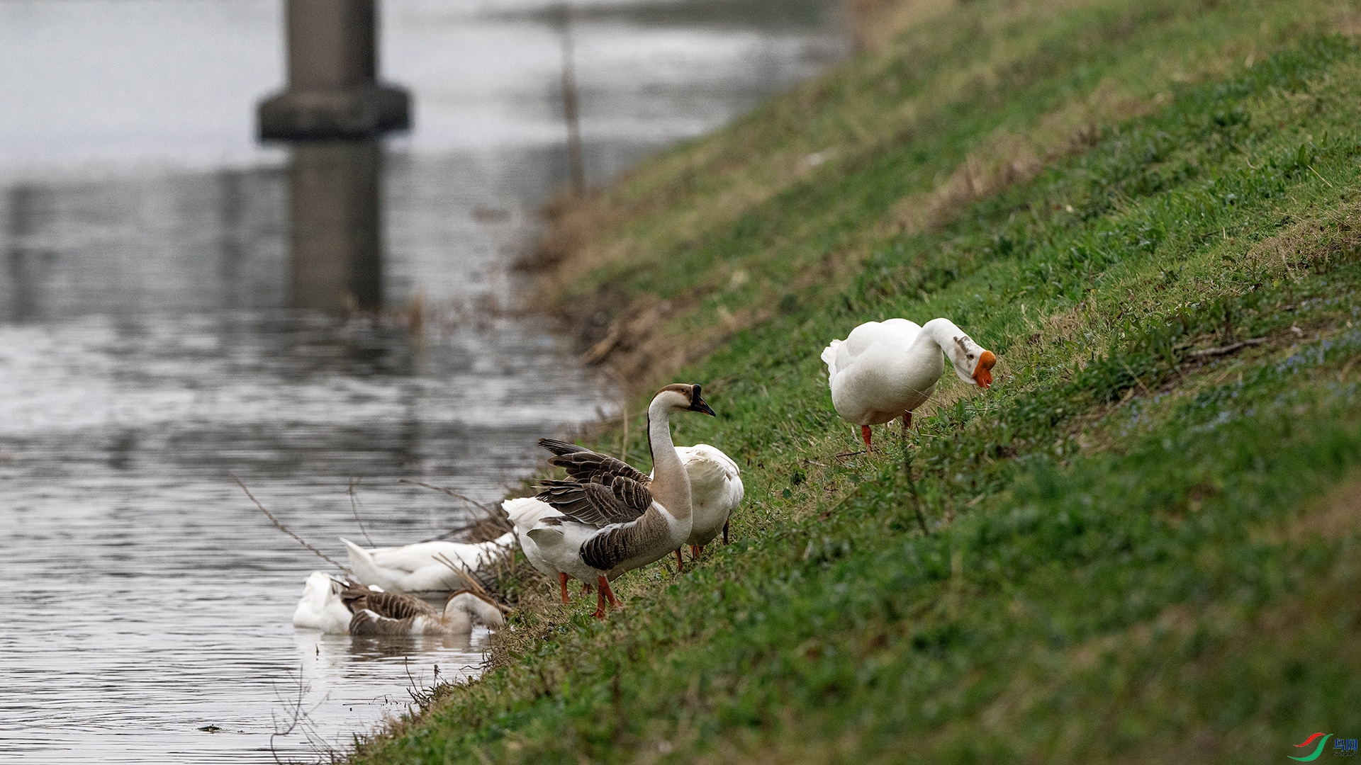 DSC_8708 ����.jpg