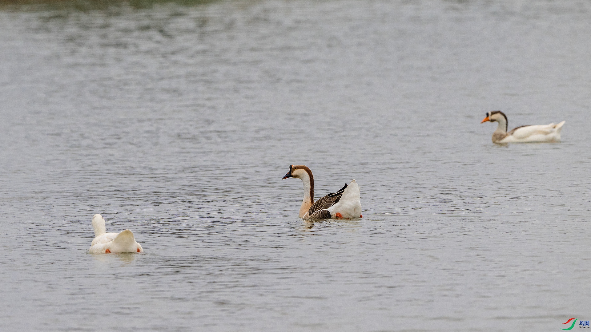 DSC_8806 ����.jpg