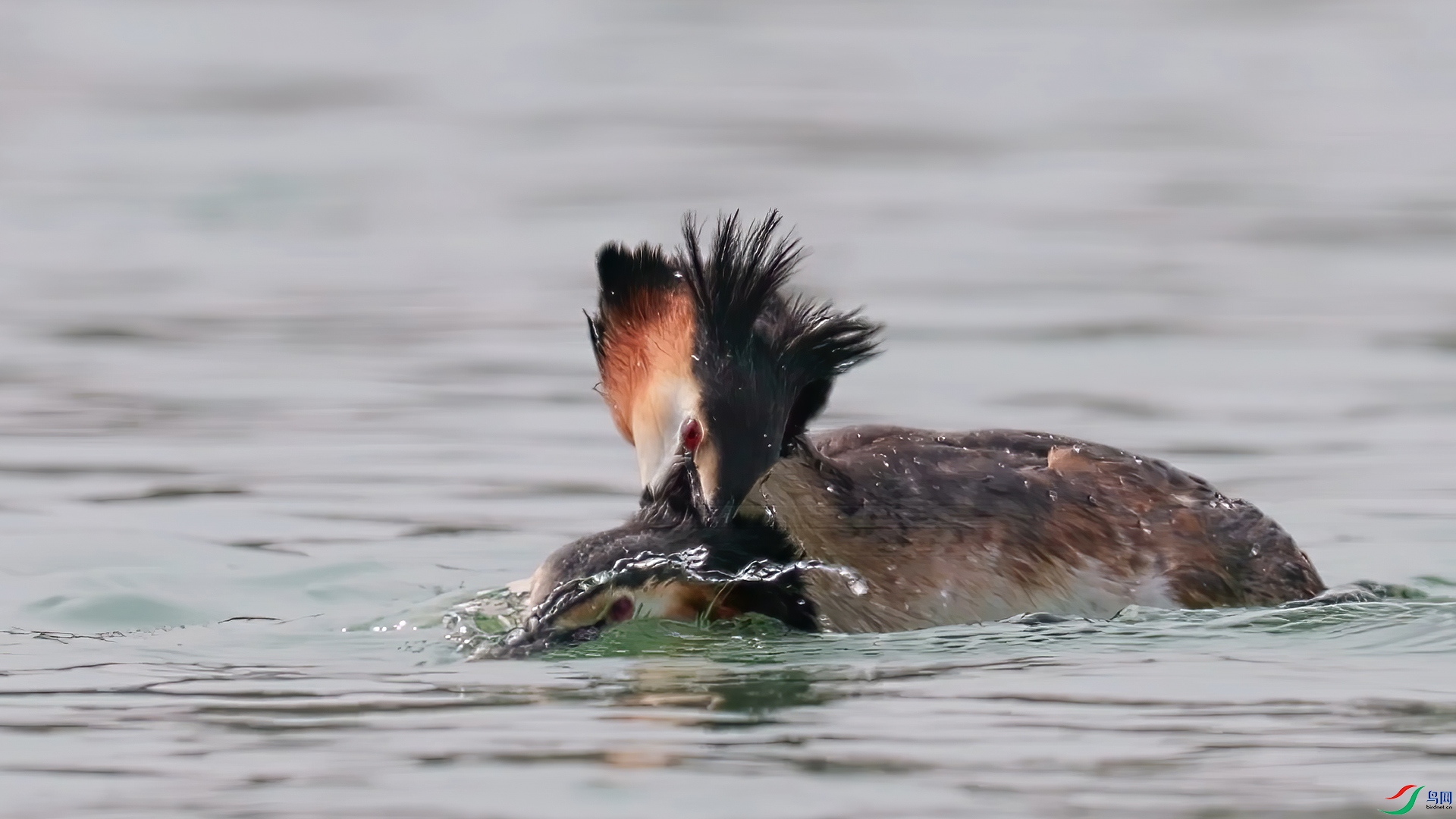 ��֡ 2026-03-08 225215_1.1.jpg