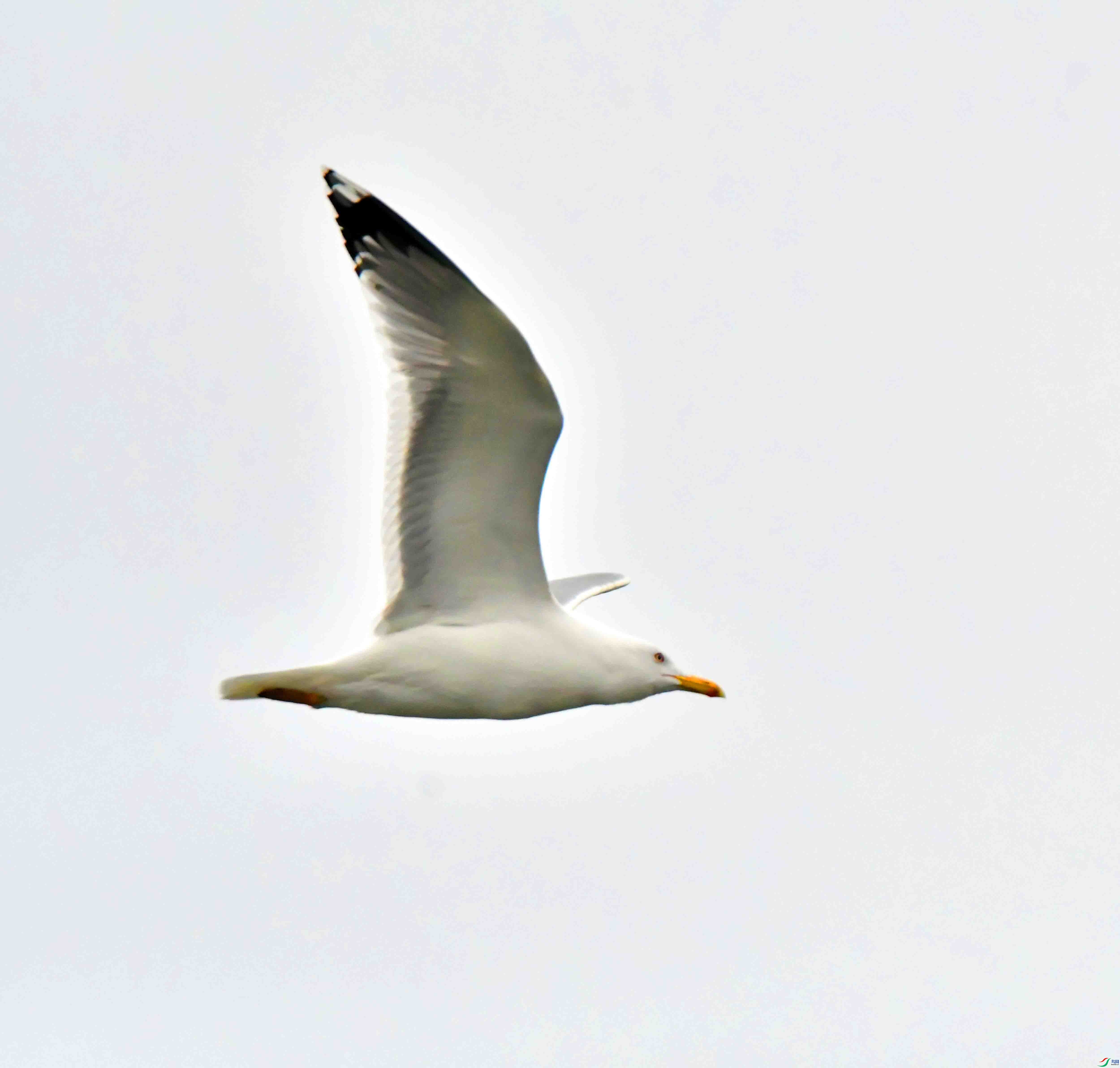 DSC_1881.JPG