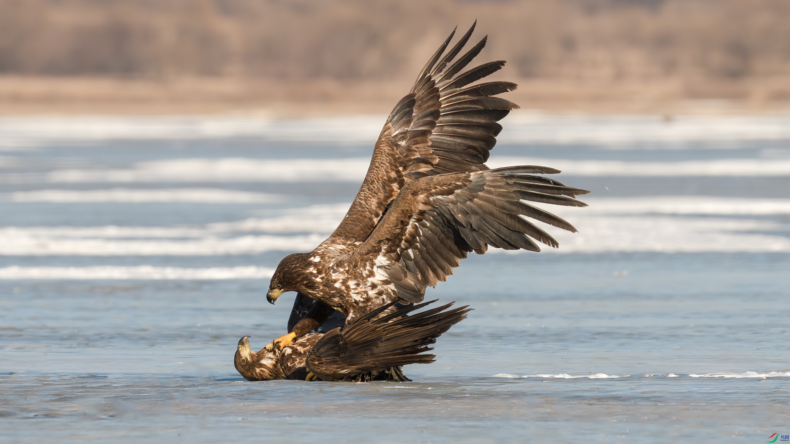 _DSC7397 ����.jpg