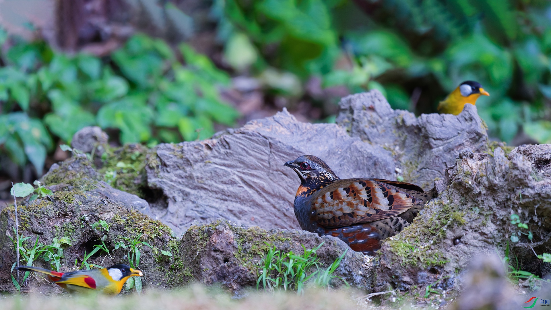 DSC_2580_DxO_DxOa.jpg