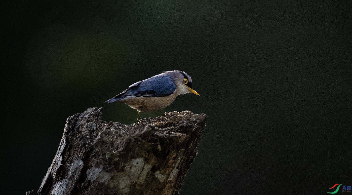 _DSC6756 ����.jpg