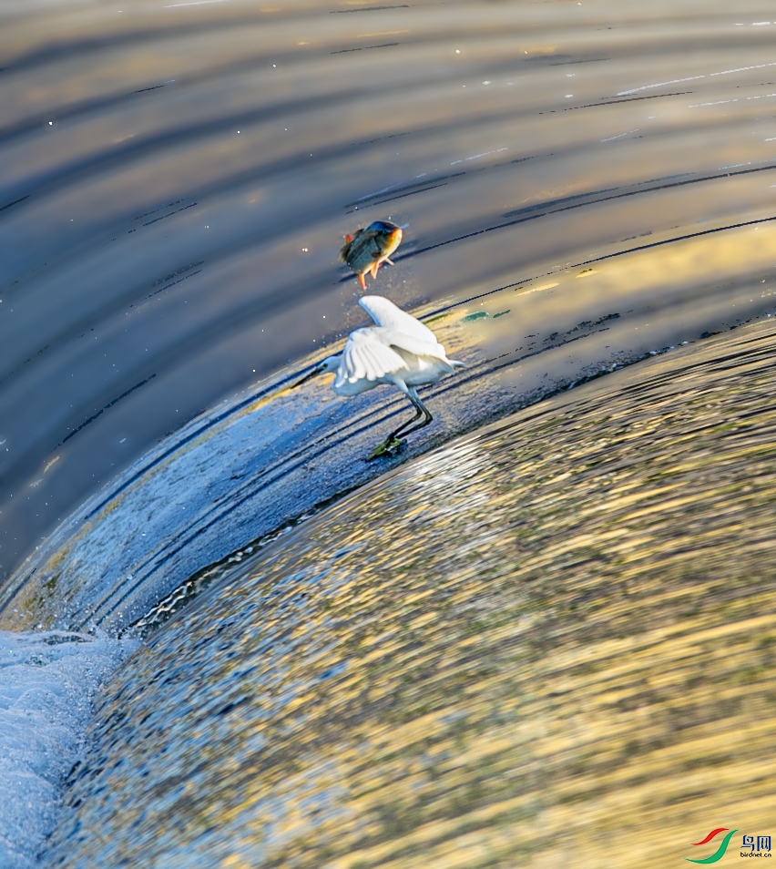 673A5618 ����.jpg