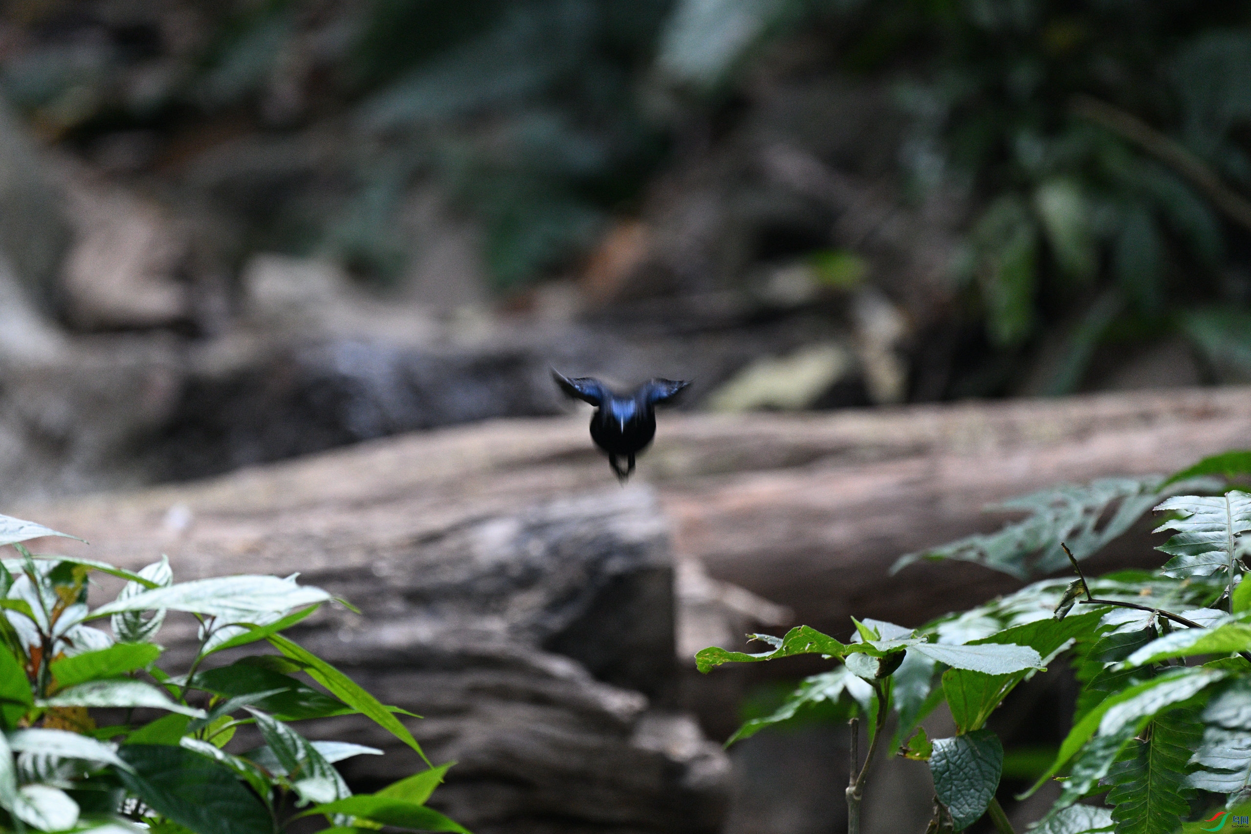 DSC_5847_����.jpg