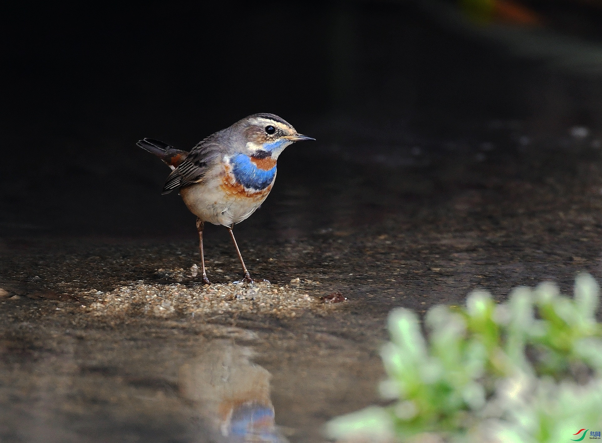 DSC_4369.jpg