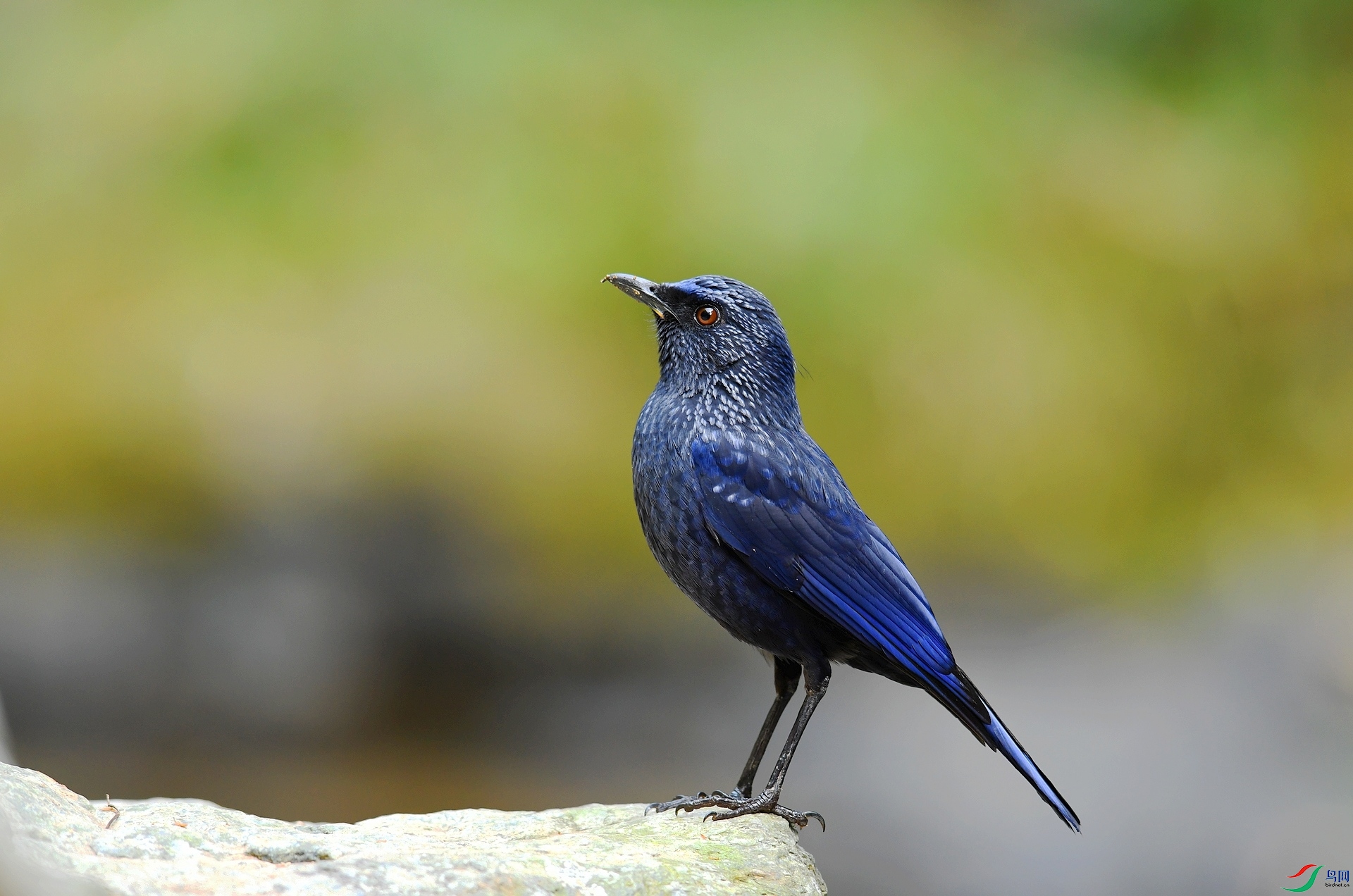 DSC_5915.jpg