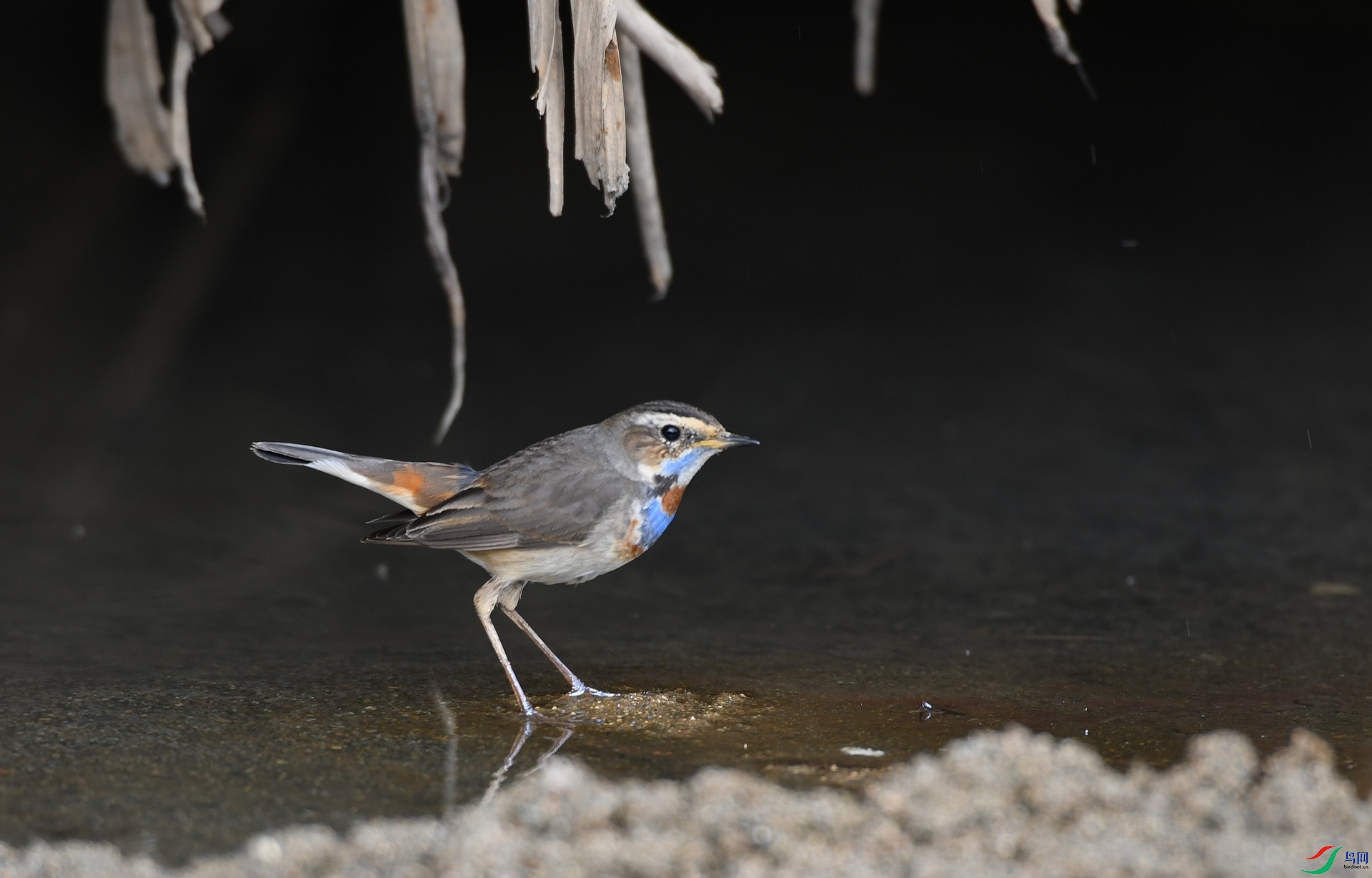DSC_6360.jpg