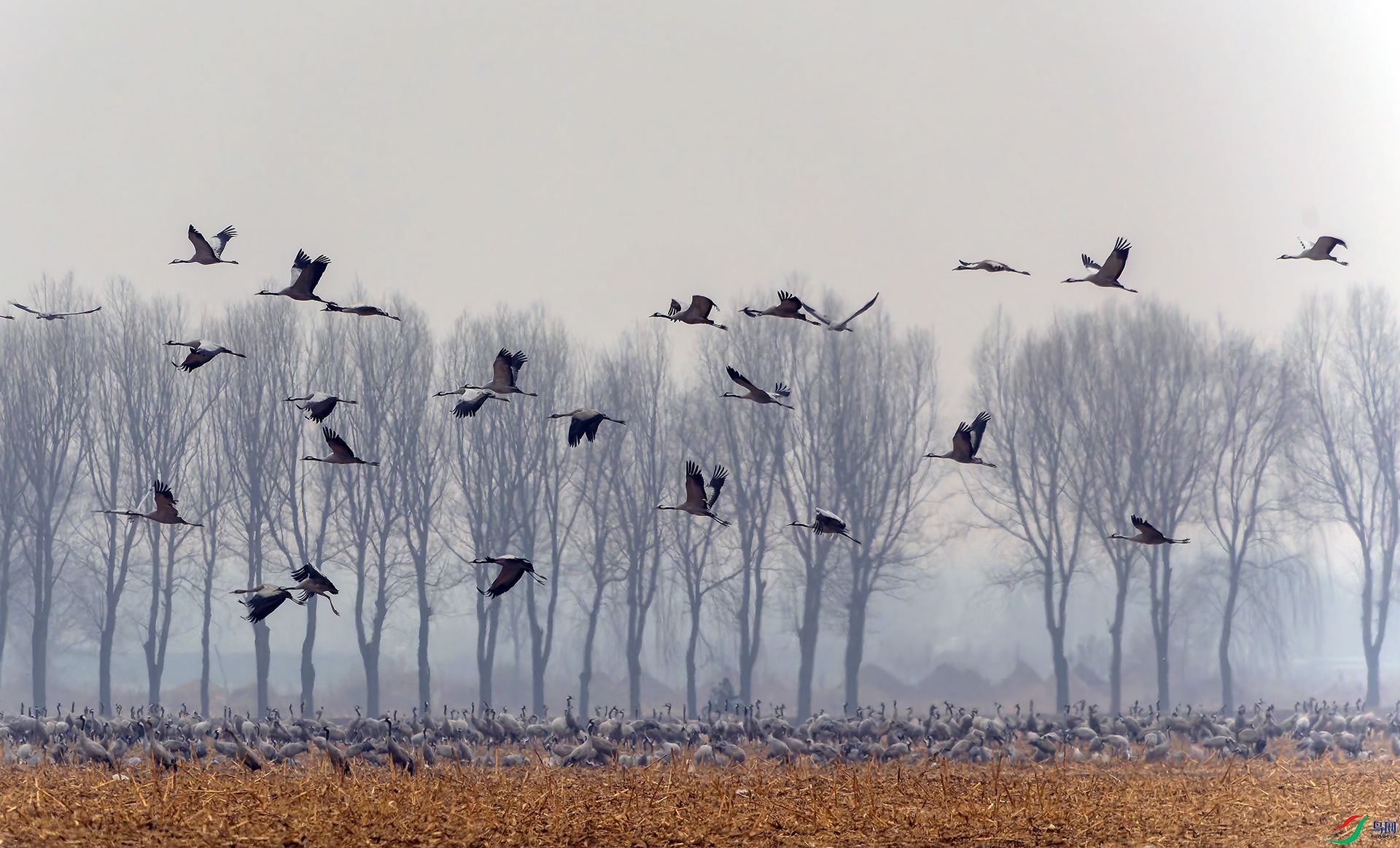 20260303-DSC09877 ����.jpg