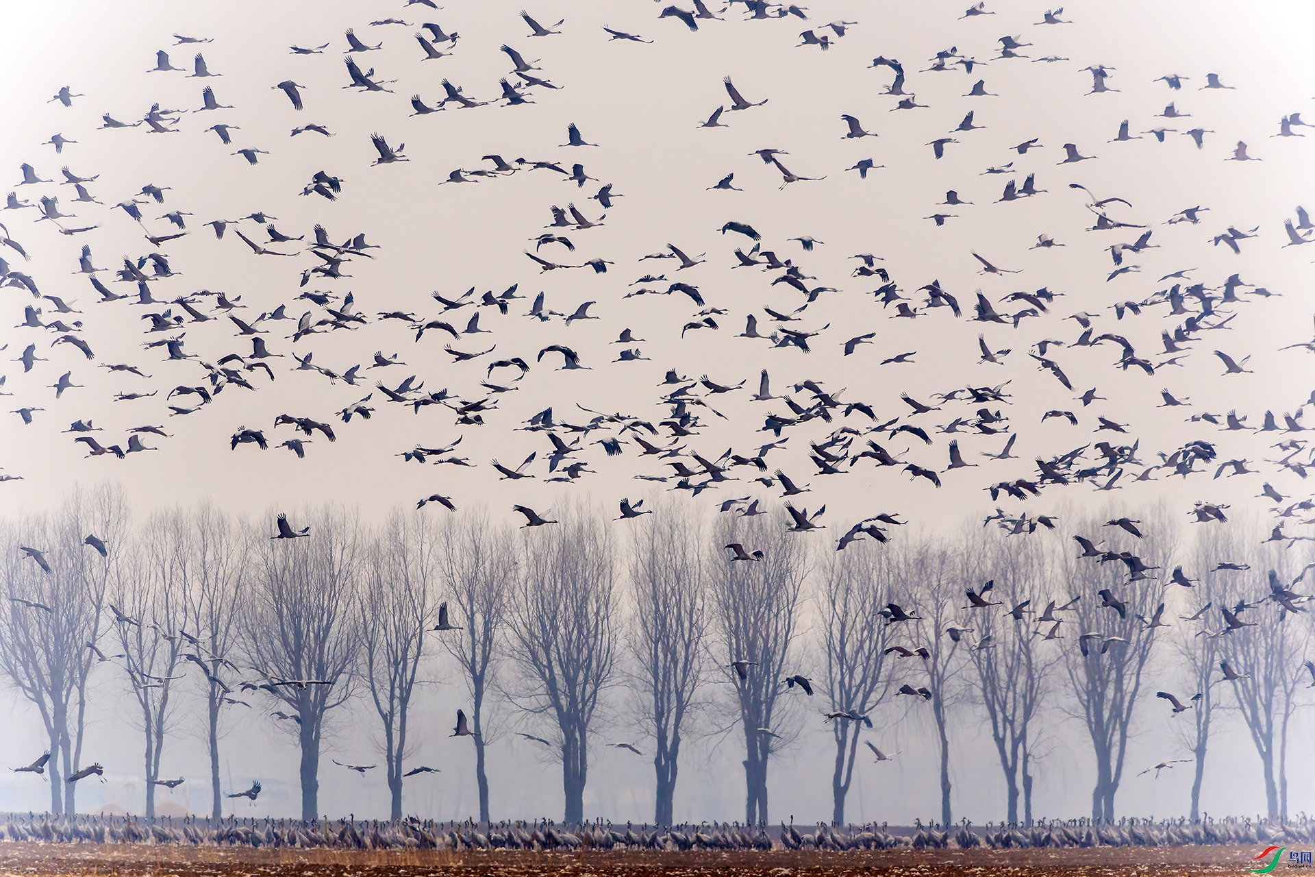 20260303-DSC09886 ���� 2.jpg