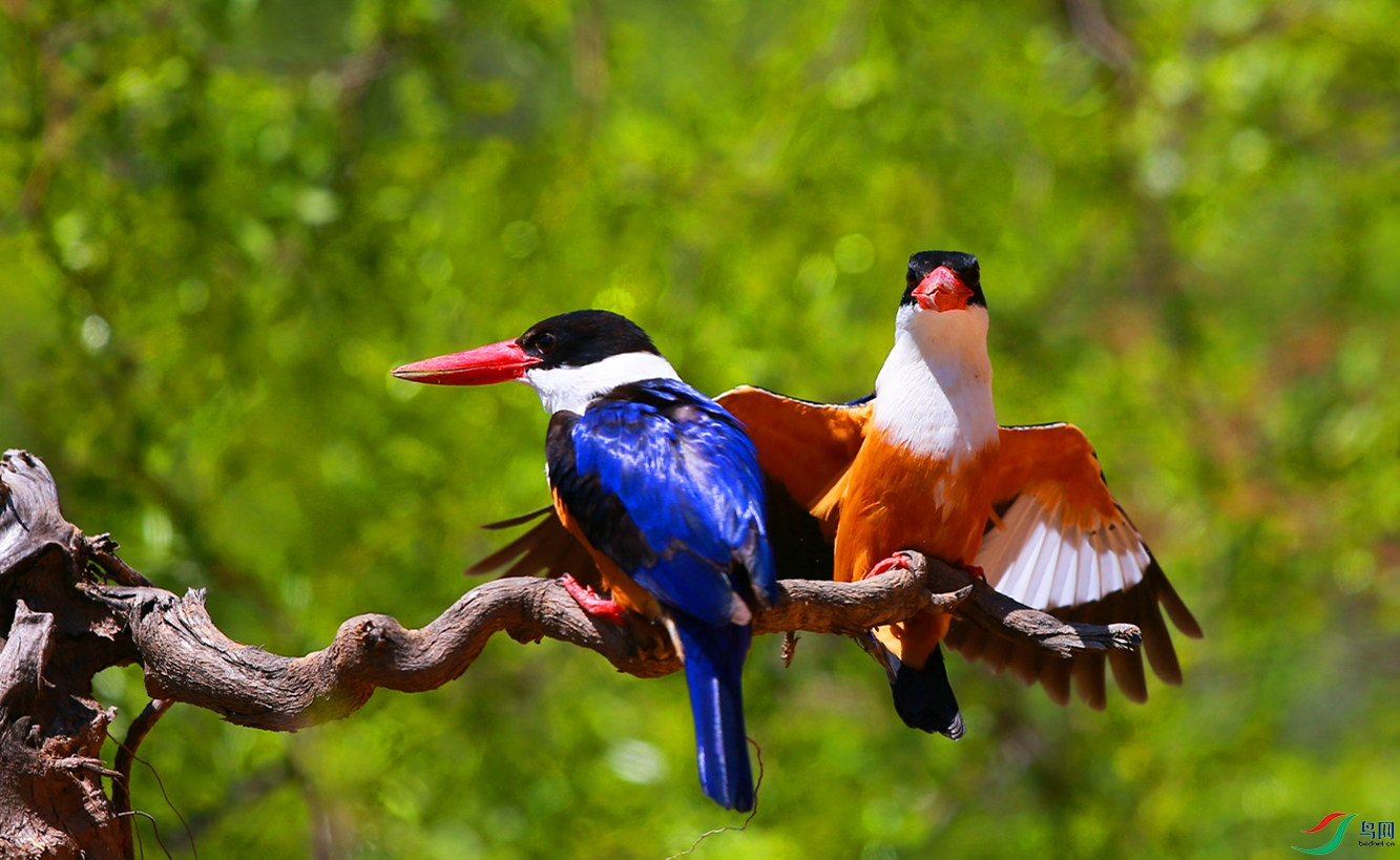 H46R0858_���� (2).jpg