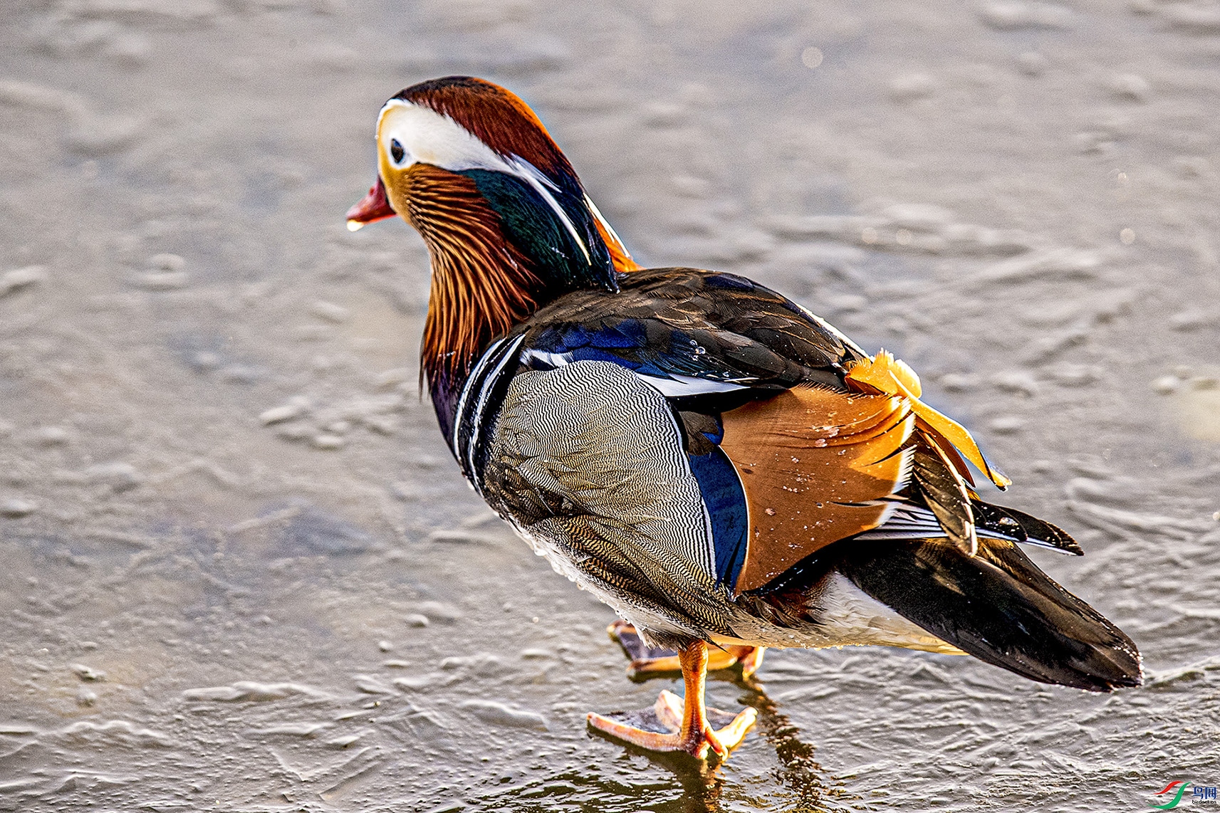 _90I9997 ���� 2.jpg