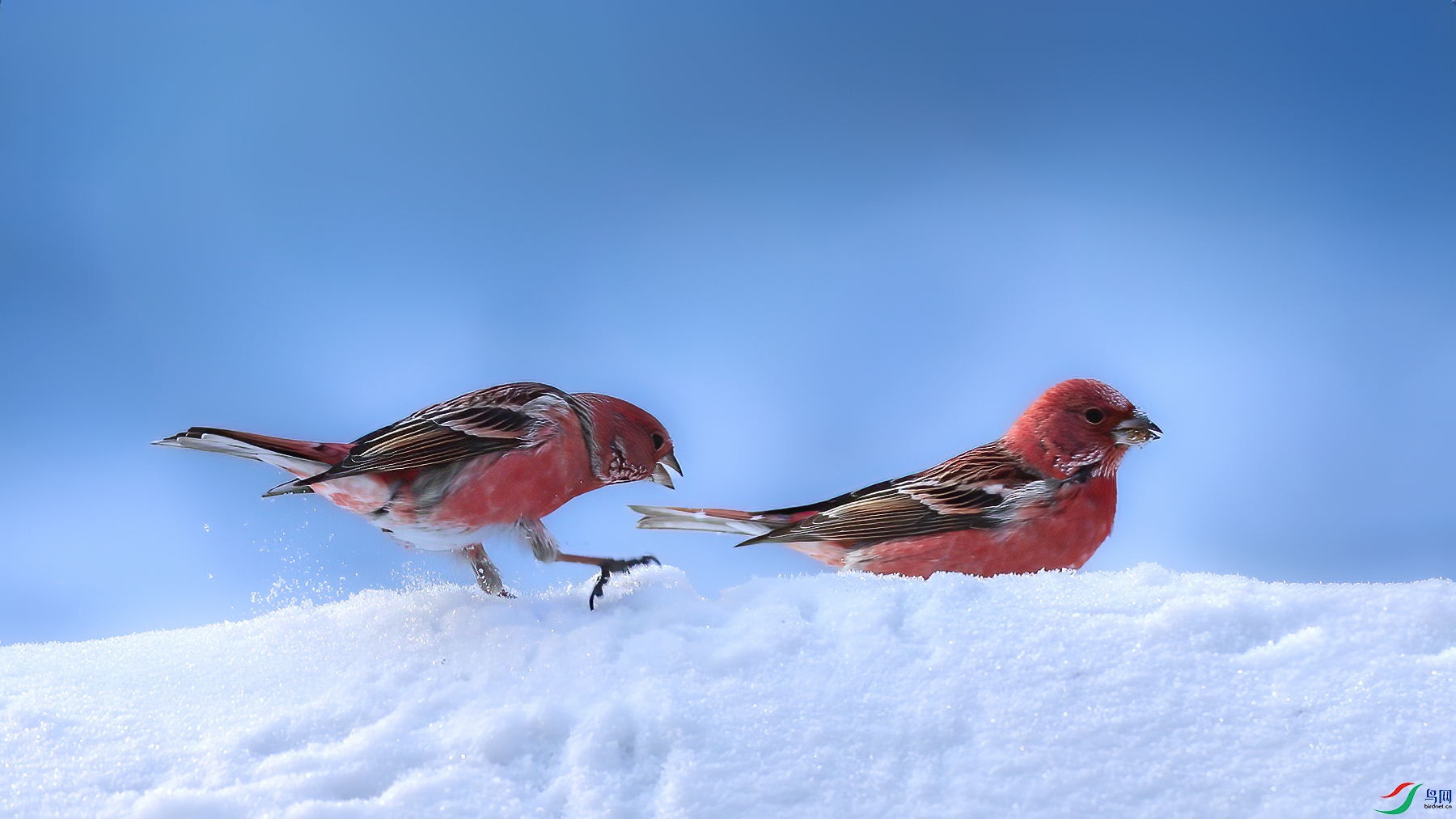 1��16��(3) ����.jpg