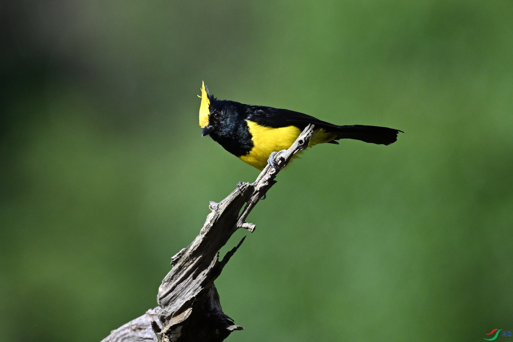 DSC_2344.JPG