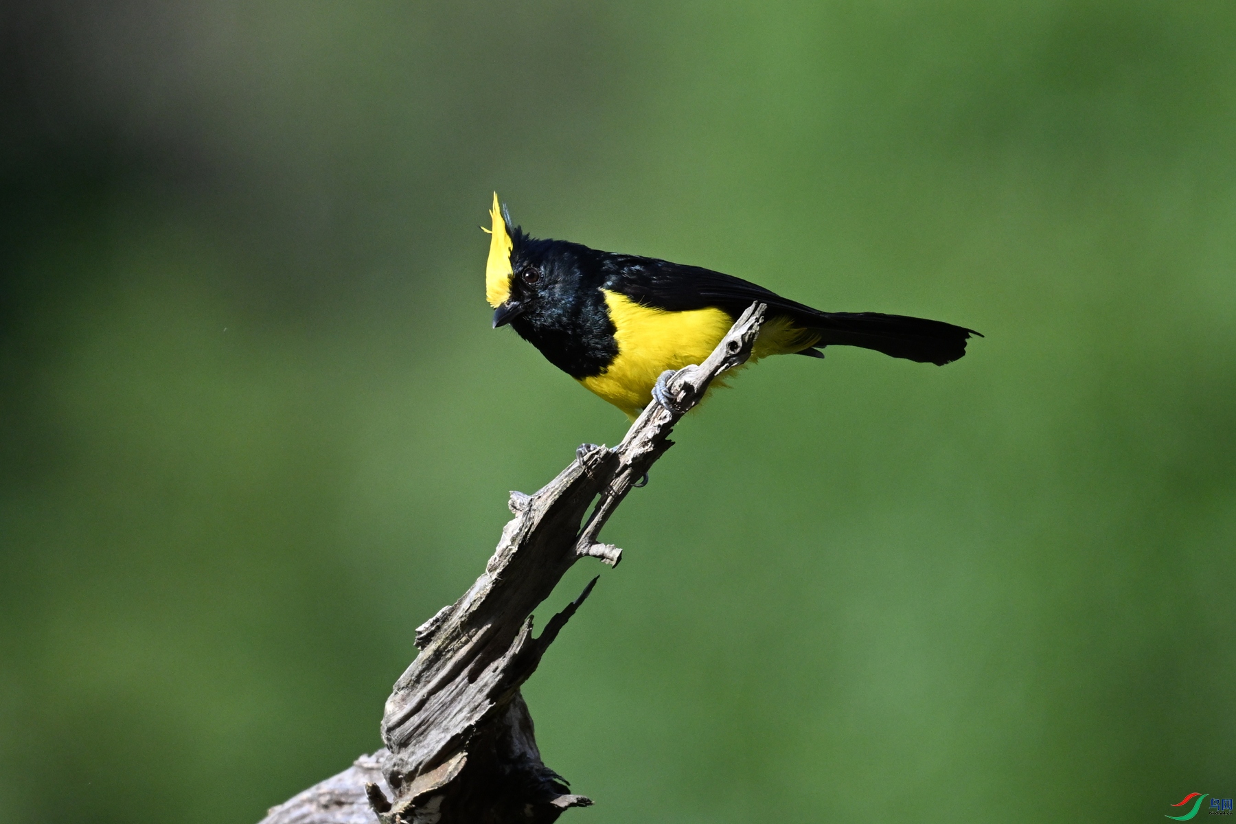 DSC_2346.JPG